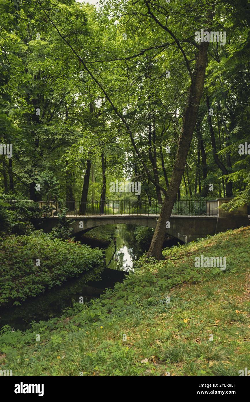 Paesaggio verde colorato nel parco forestale con ponte e piccolo fiume. Vista attraverso il fogliame estivo nella foresta del parco. Percorso foglie albero verde. Natura l Foto Stock