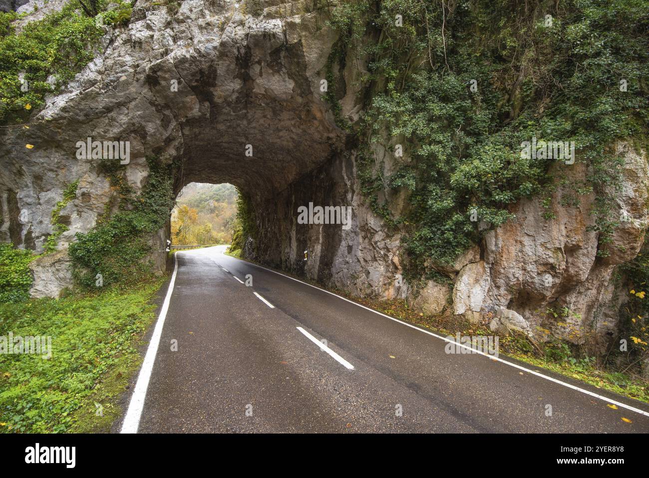 Strada con tunnel di pietra nello scenario montano del parco naturale di Somiedo, Asturie, Spagna, Europa Foto Stock