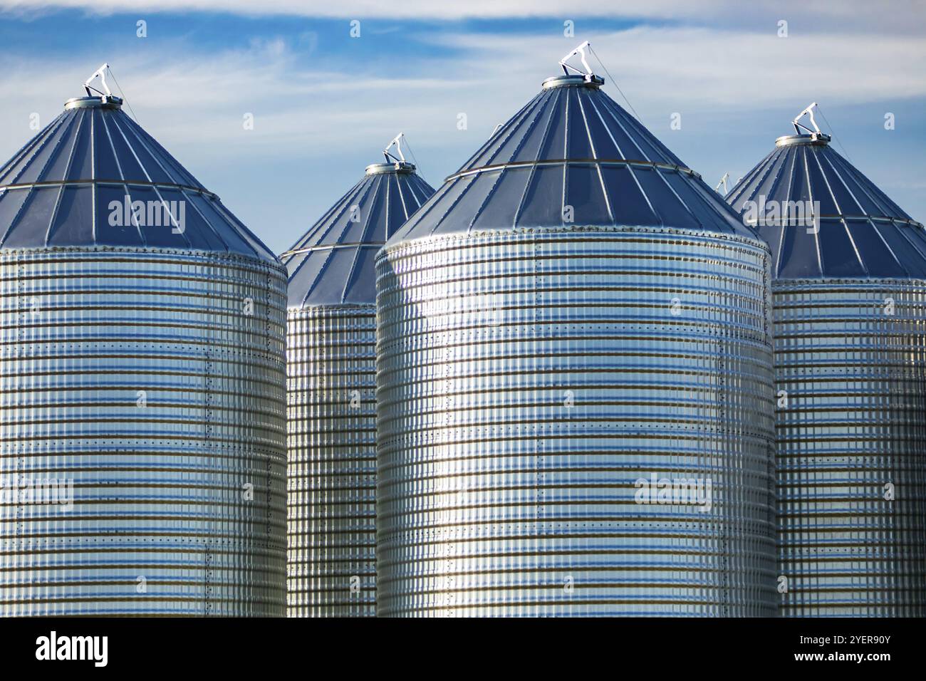 Moderno e pulito di cereali alla rinfusa silos di stoccaggio sono visti in una grande fattoria in Alberta, Canada. Scorte di grano, cereali, frumento, mais, riso in torri di metallo Foto Stock