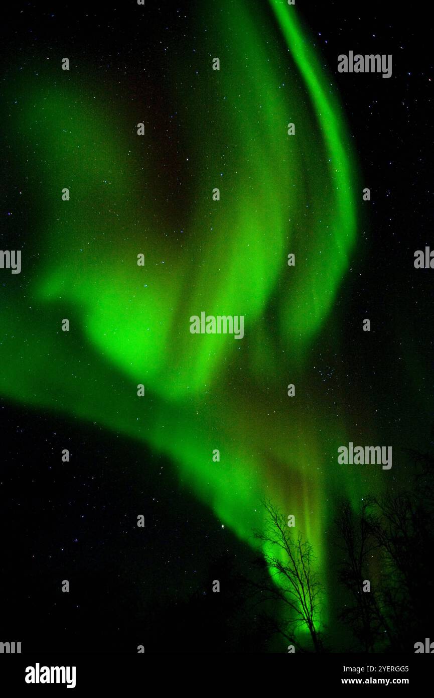 Canada / Aurora Borealis a Yellowknife Foto Stock