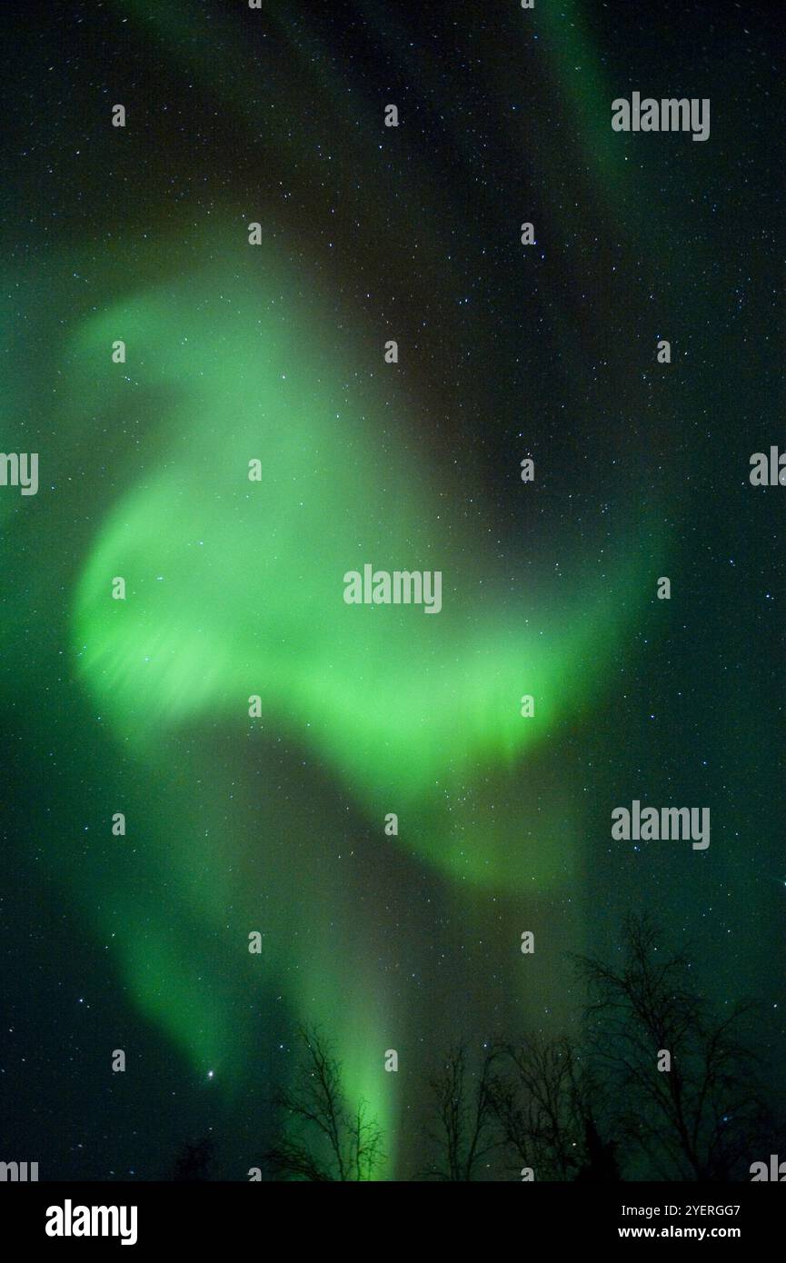 Canada / Aurora Borealis a Yellowknife Foto Stock