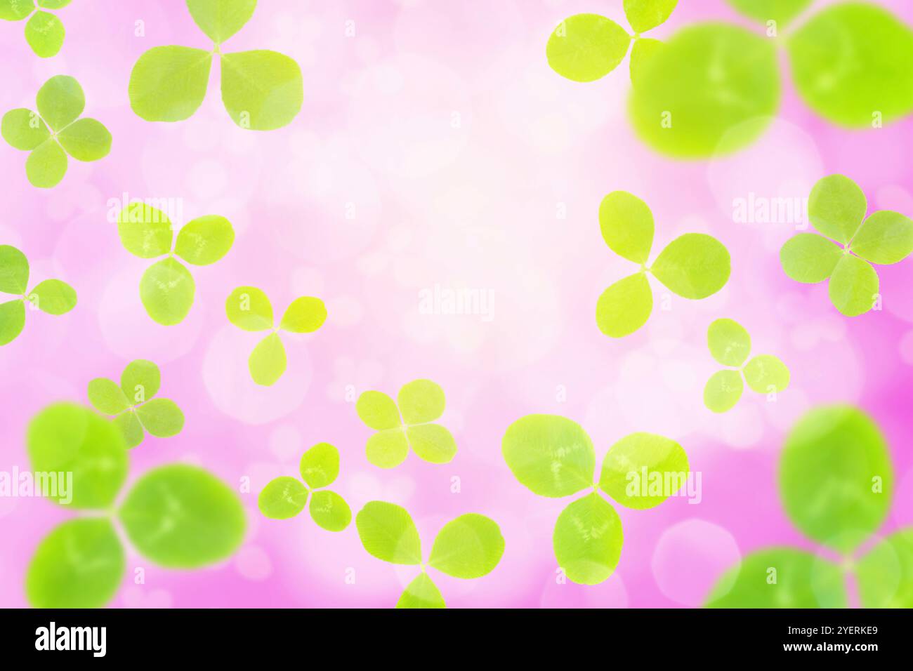 Reticolo del trifoglio Foto Stock