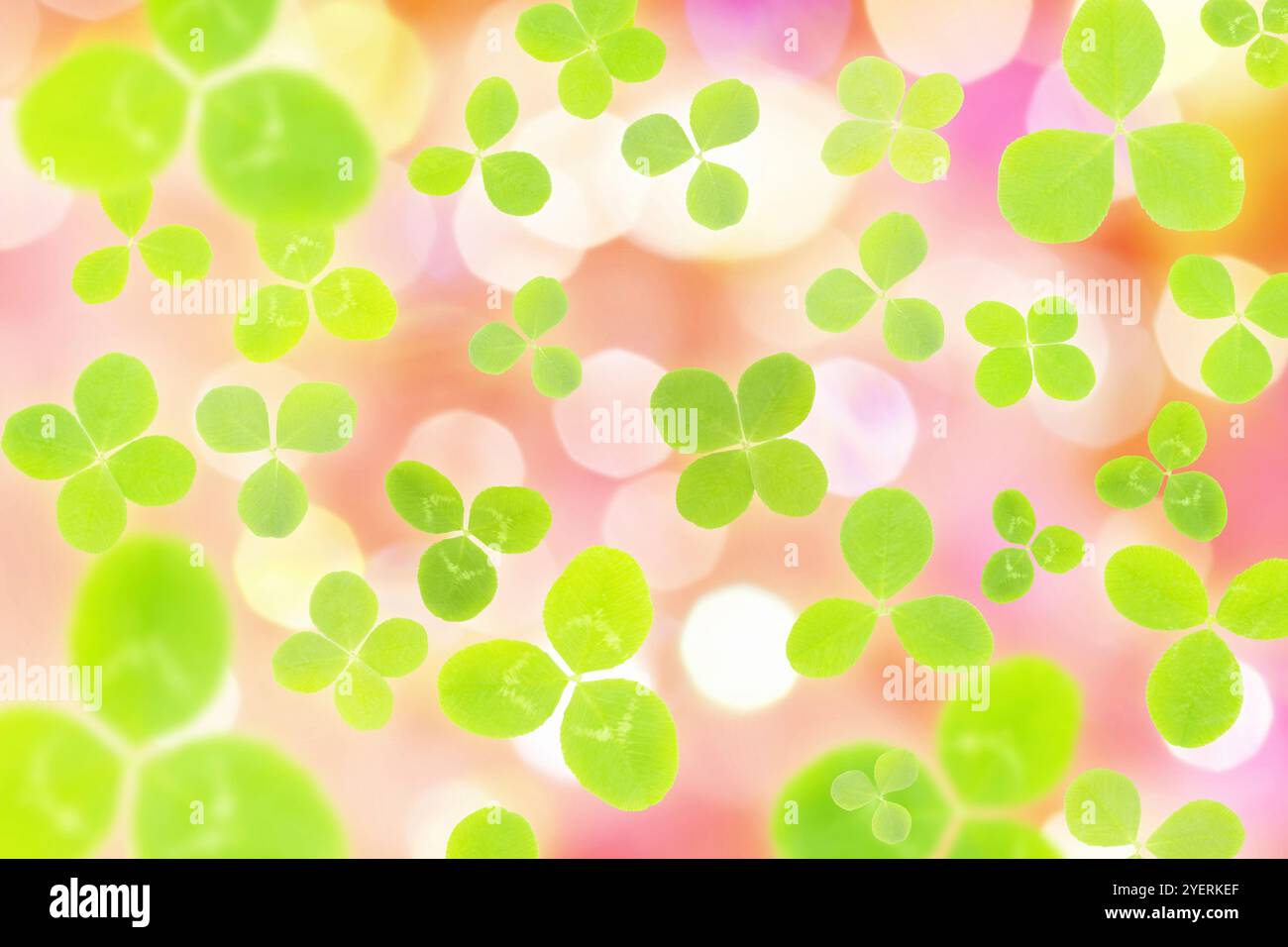 Reticolo del trifoglio Foto Stock