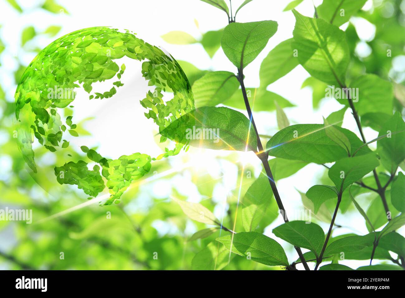 Mappa delle foglie verdi fresche e del fogliame Foto Stock