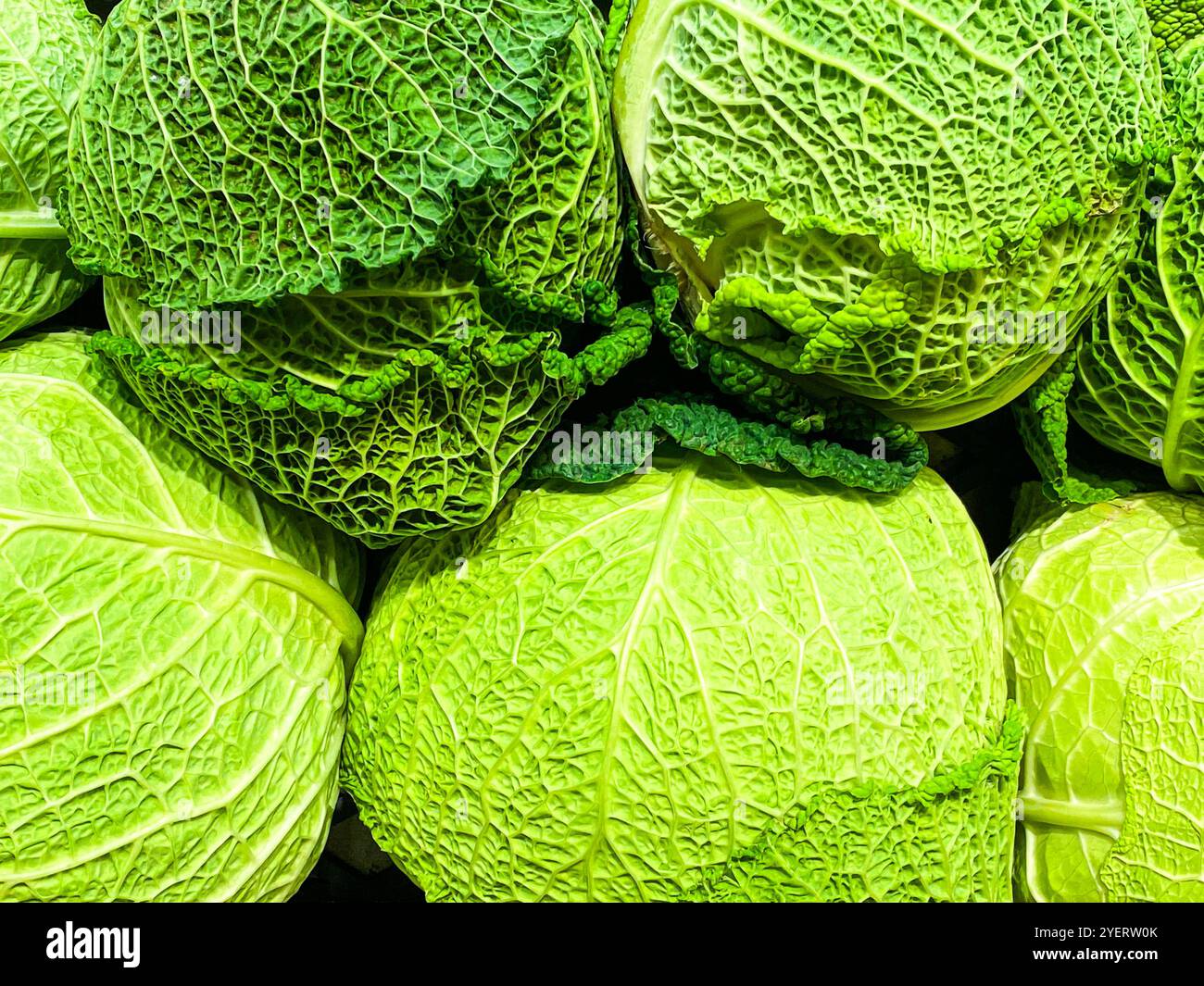 Insalata di cavolo bianco Foto Stock
