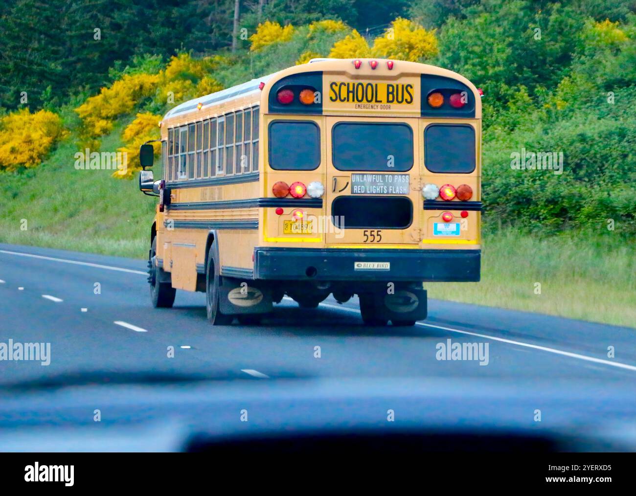 Passa davanti a uno scuolabus National School Bus Glossy Yellow North American di tipo C sull'interstate Highway USA Foto Stock