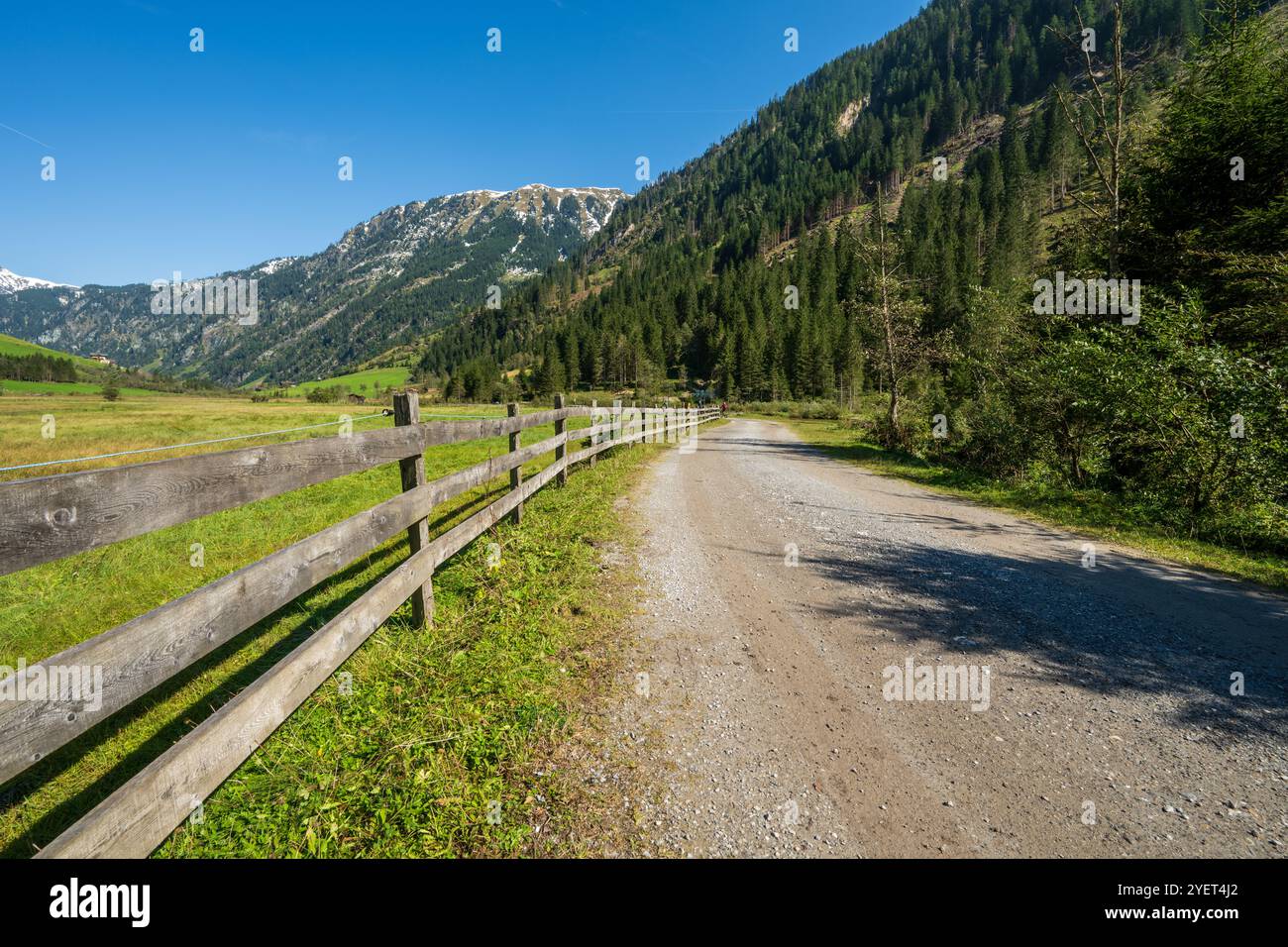 Una strada di ghiaia corre lungo un prato alpino, separato da una tradizionale recinzione in legno. Foto Stock