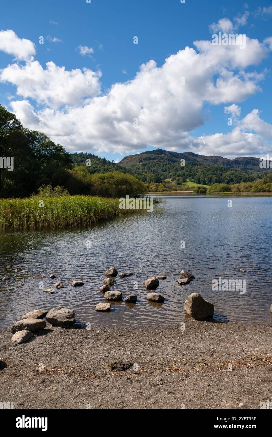 Lago Elter Water vicino ad Ambleside nel Lake District, Cumbria, Inghilterra. Una giornata di sole a metà settembre. Foto Stock