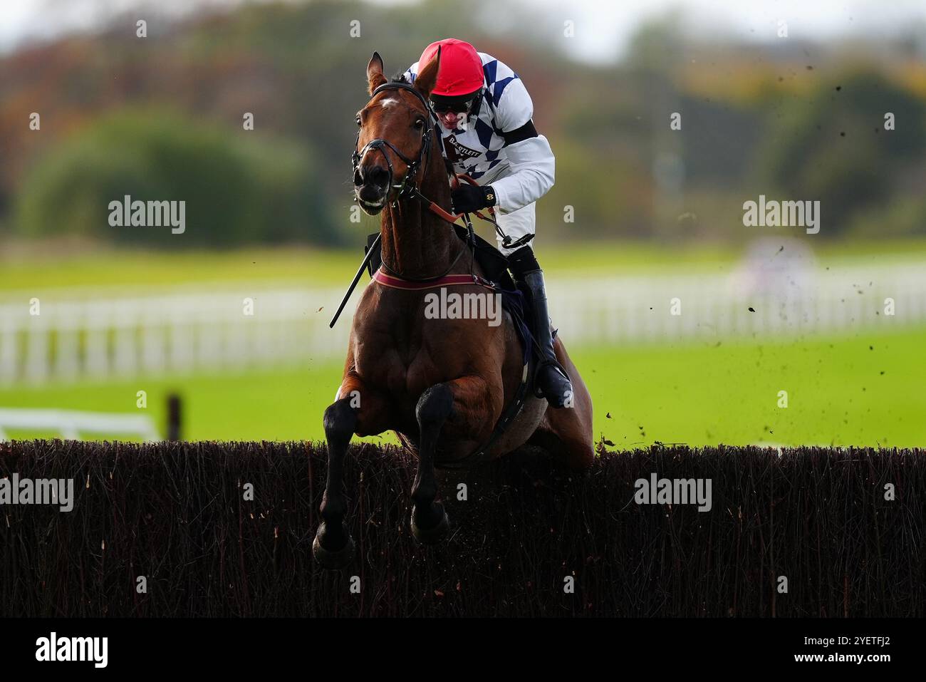 Cadell guidato da Derek Fox per vincere il bet365 Novices' Chase all'ippodromo di Wetherby. Data foto: Venerdì 1 novembre 2024. Foto Stock