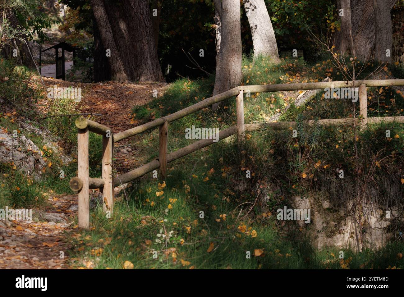 Sentiero con corrimano in legno nella foresta del preventorio di Alcoy in autunno, Alcoy, Spagna Foto Stock