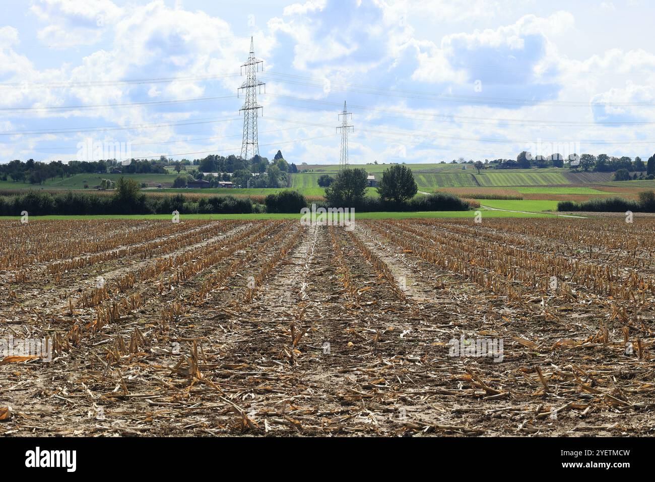 Vista su prati e campi fino alla zona di Strohgäu vicino ad Asperg Foto Stock