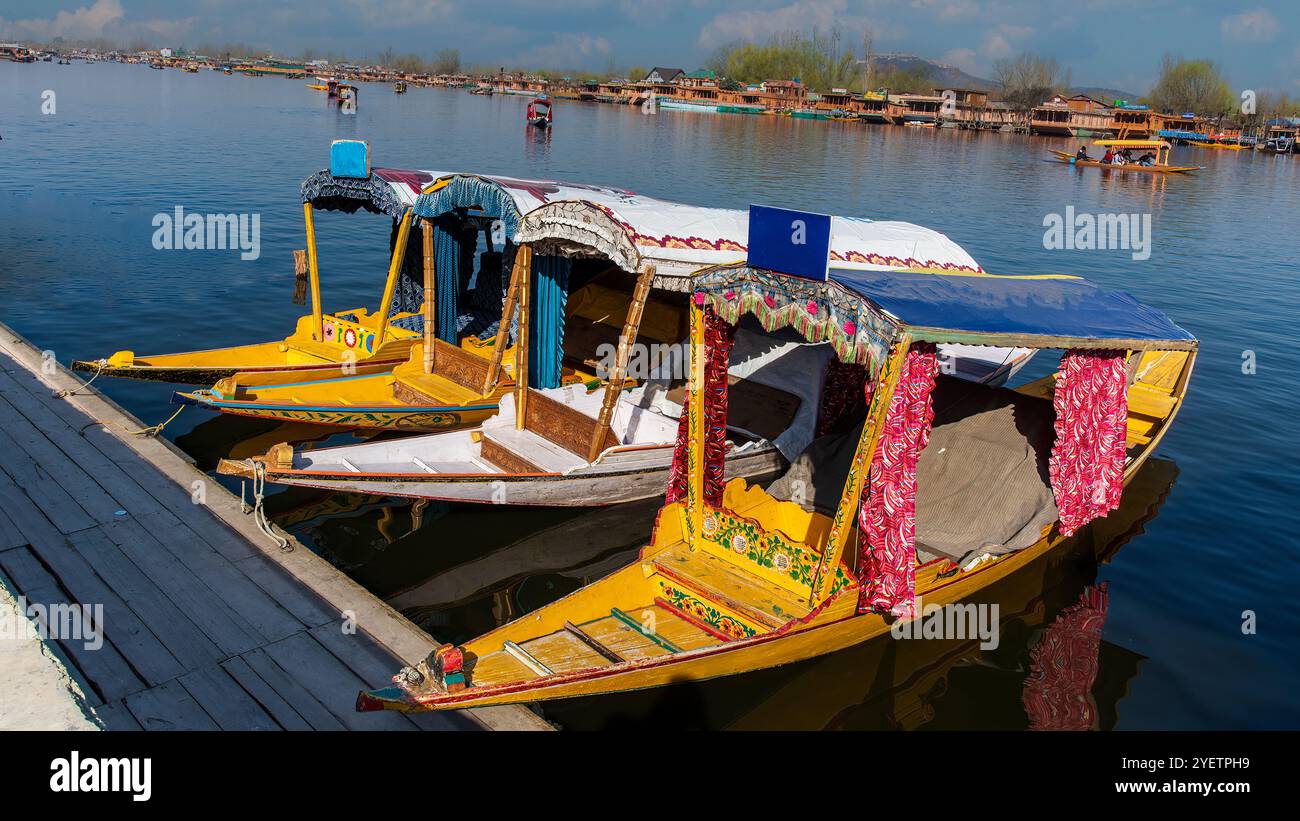 Shikaras, le iconiche barche in legno del Kashmir, scivola con grazia sull'incontaminato lago dal. Scolpite con disegni intricati, offrono una fuga serena. Foto Stock