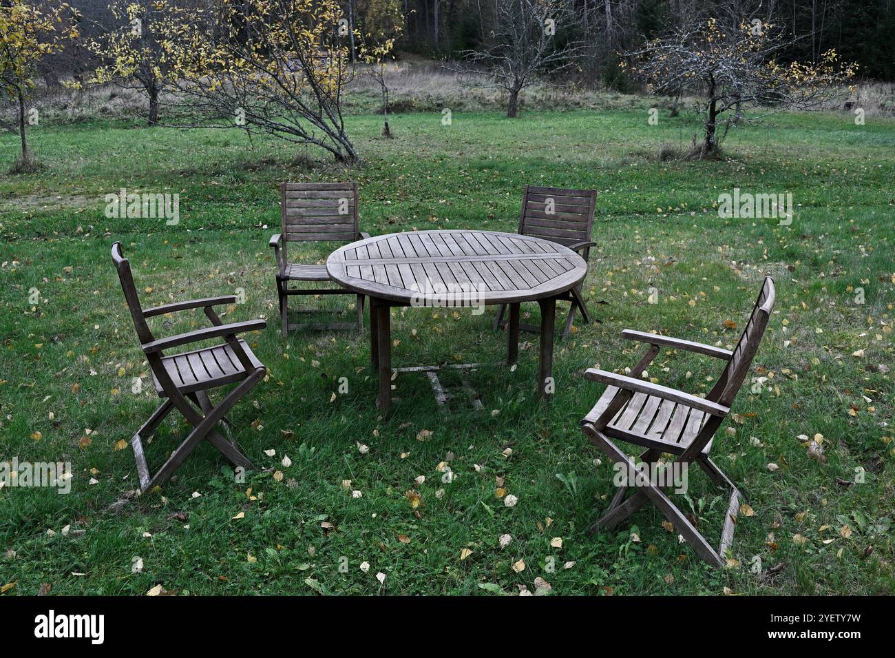 Questa immagine mostra una disposizione rustica dei posti a sedere all'aperto con un tavolo rotondo in legno e quattro sedie in legno disposte su erba verde. La scena è circondata da Foto Stock