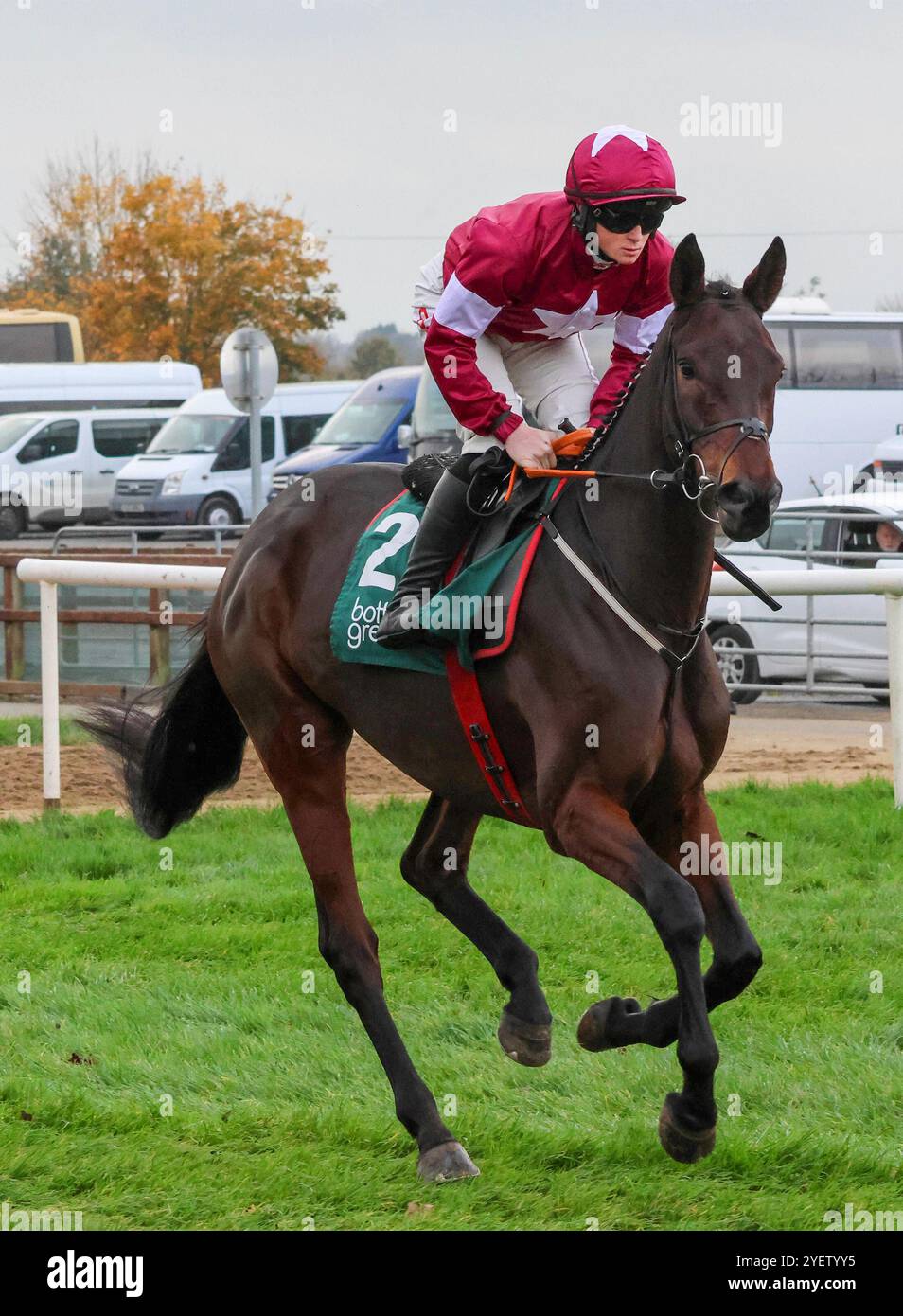 Lungo il Royal Racecourse, Lisburn, Irlanda del Nord. 1 novembre 2024. Il Ladbrokes Festival of Racing (Day 1) è iniziato oggi, la gara di punta della giornata è stata l'OSTACOLO BOTTLEGREEN (GRADO 3) (4 anni+) con €29.500 per il vincitore. La gara fu vinta da Brighterdaysahead (2) guidata da Sam Ewing e allenata da Gordon Elliott. Crediti: CAZIMB/Alamy Live News. Foto Stock