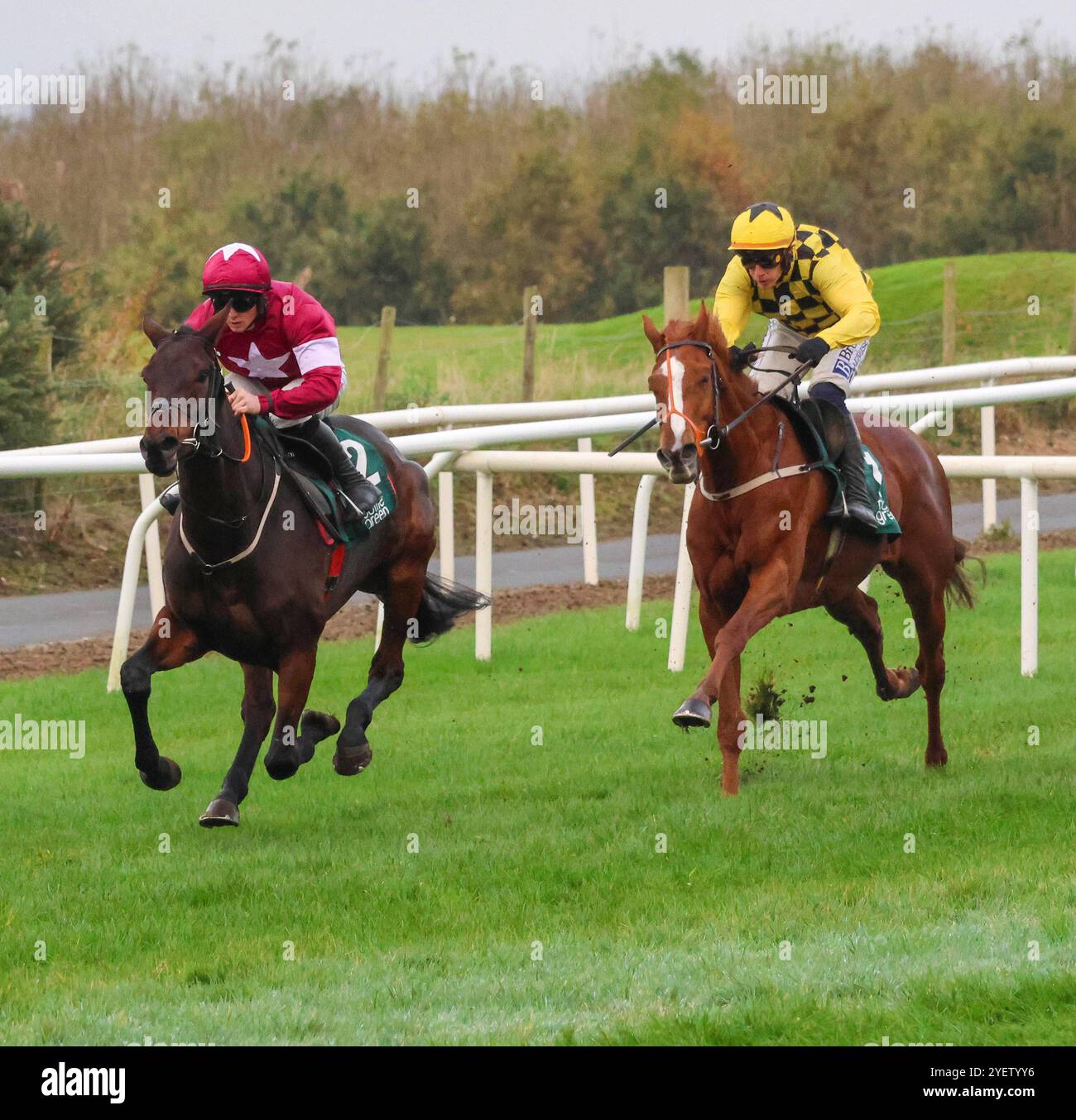 Lungo il Royal Racecourse, Lisburn, Irlanda del Nord. 1 novembre 2024. Il Ladbrokes Festival of Racing (Day 1) è iniziato oggi, la gara di punta della giornata è stata l'OSTACOLO BOTTLEGREEN (GRADO 3) (4 anni+) con €29.500 per il vincitore. La gara fu vinta da Brighterdaysahead (2) guidata da Sam Ewing e allenata da Gordon Elliott. Crediti: CAZIMB/Alamy Live News. Foto Stock