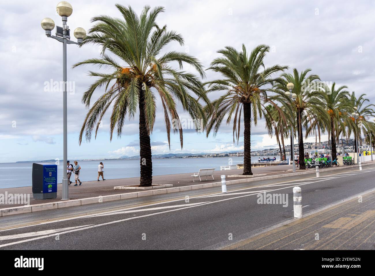 Palme lungo la Promenade des Anglais lungo la costa mediterranea di Nizza. Angels Bay, Nizza Francia, Costa Azzurra, Sud della Francia, Europa Foto Stock