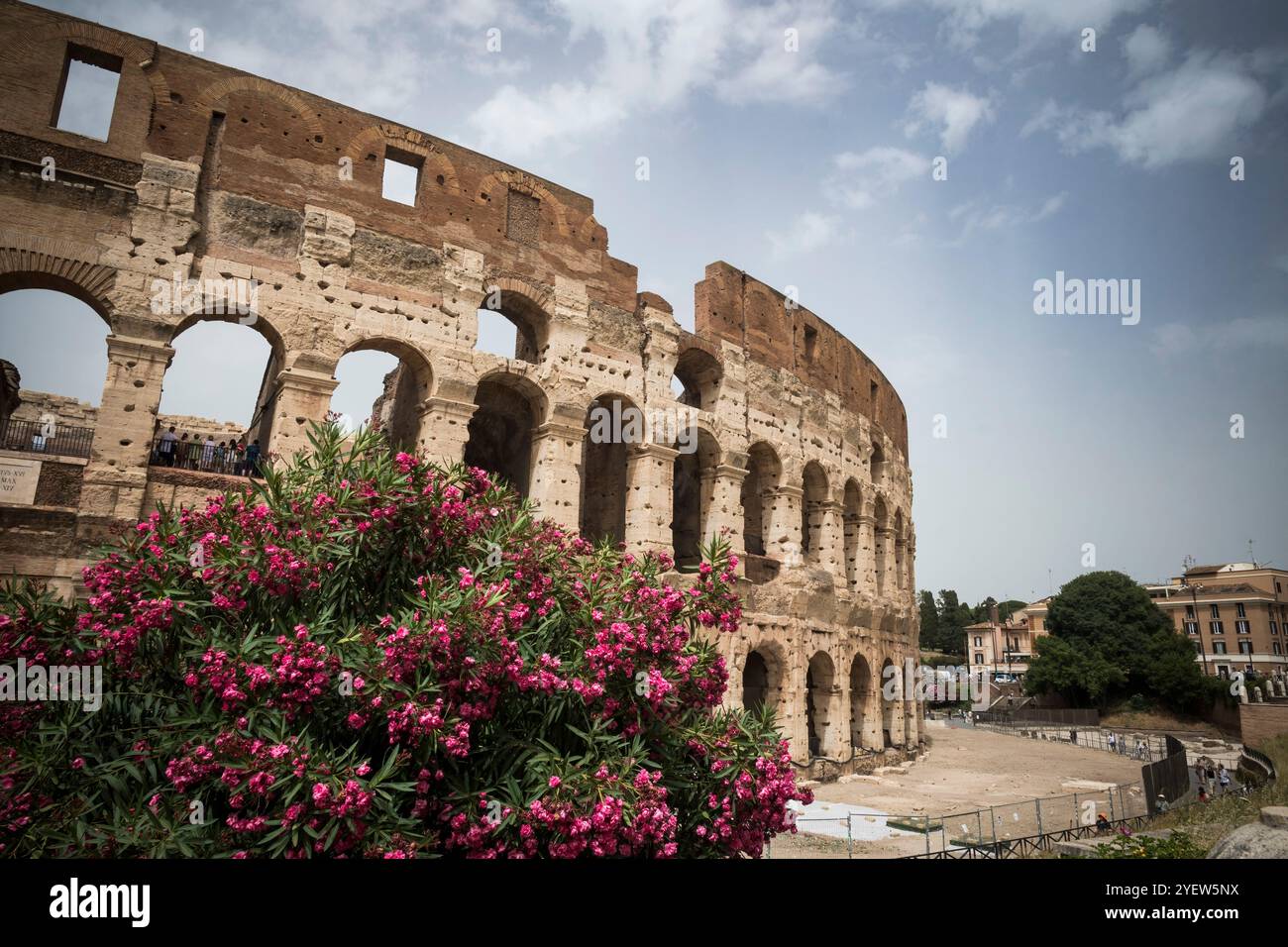Anfiteatro del Colosseo nel centro di Roma Foto Stock