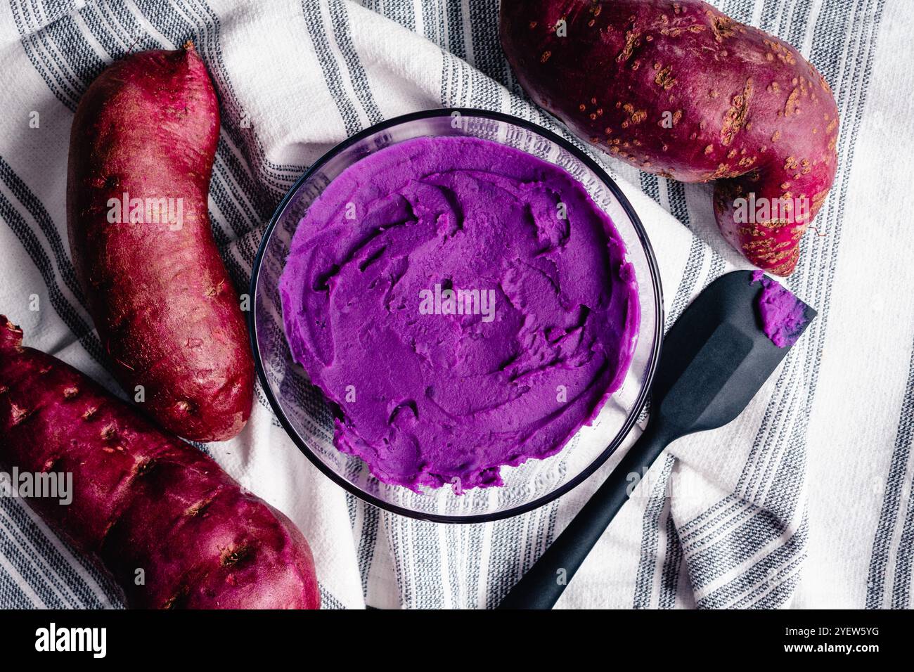 Purè di patate dolci viola con patate dolci viola: Purea viola brillante composta da patate dolci viola cotte e frullate e acqua Foto Stock