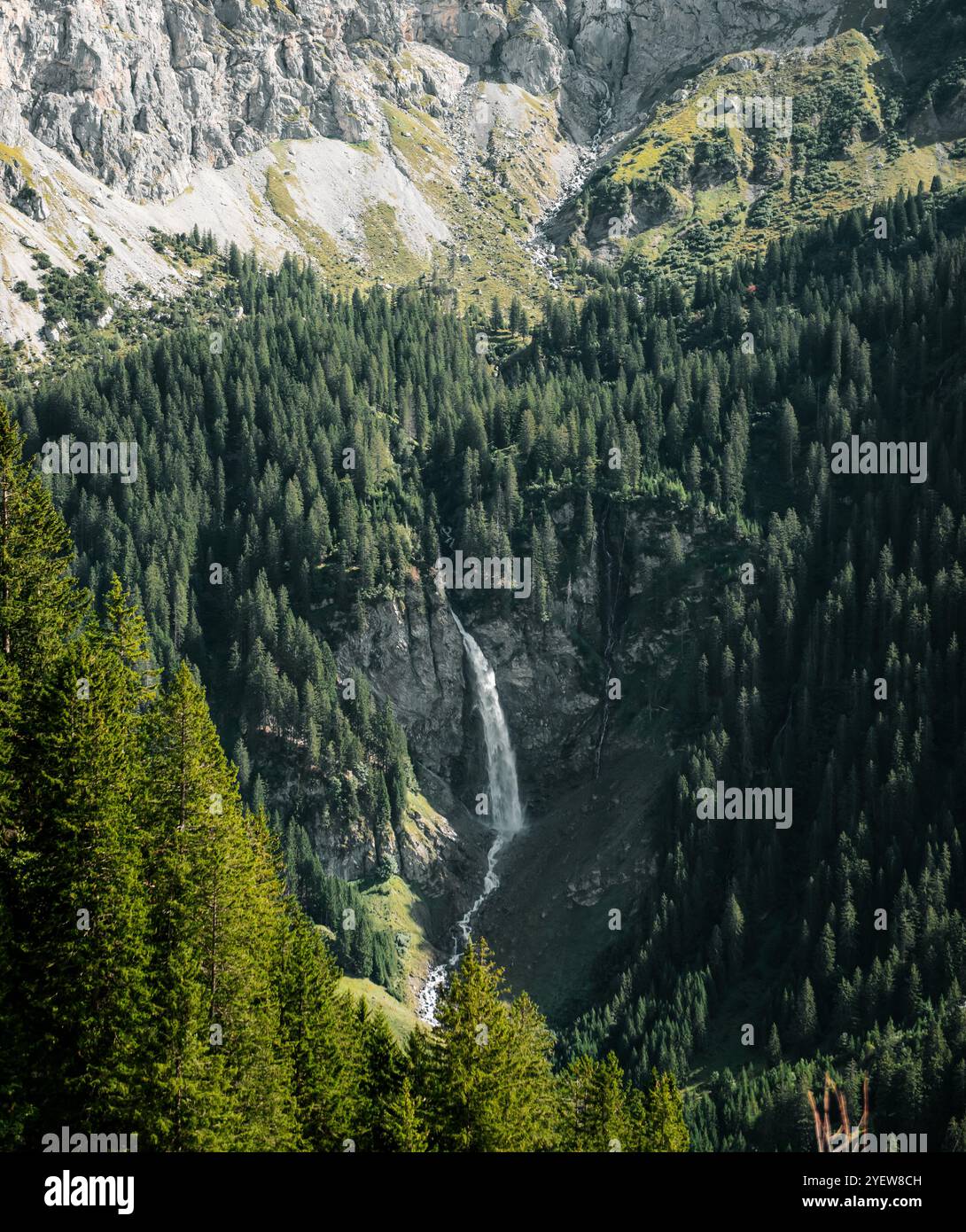Cascata Staubenfall nella foresta di montagna. Cascata di Stäubifall nella valle di Schächen - vista dal passo di chiusa. Foto Stock