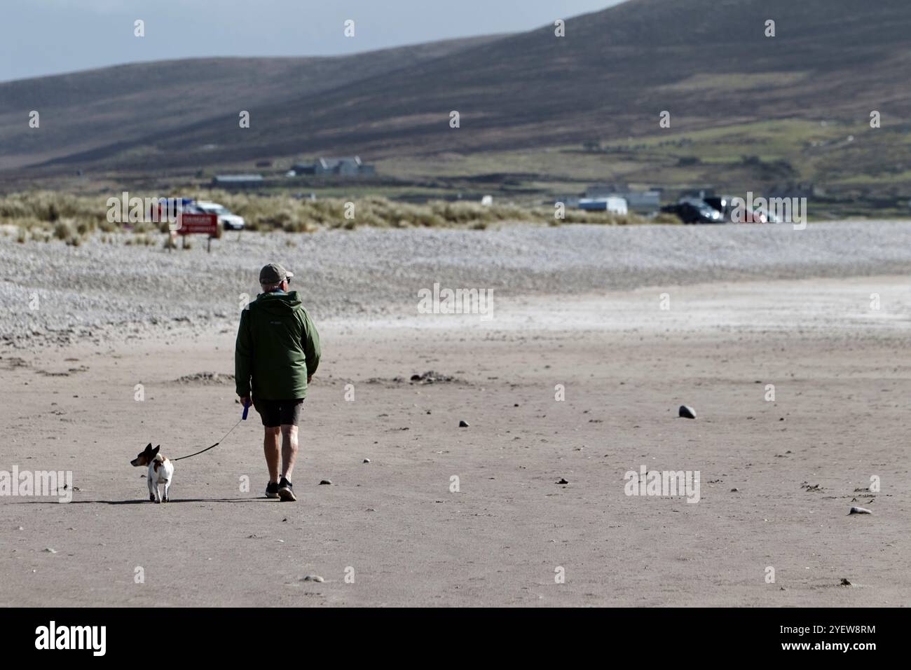 Uomo di mezza età che cammina piccolo cane sulla spiaggia della chiglia Achill Island, contea di mayo, repubblica d'irlanda Foto Stock