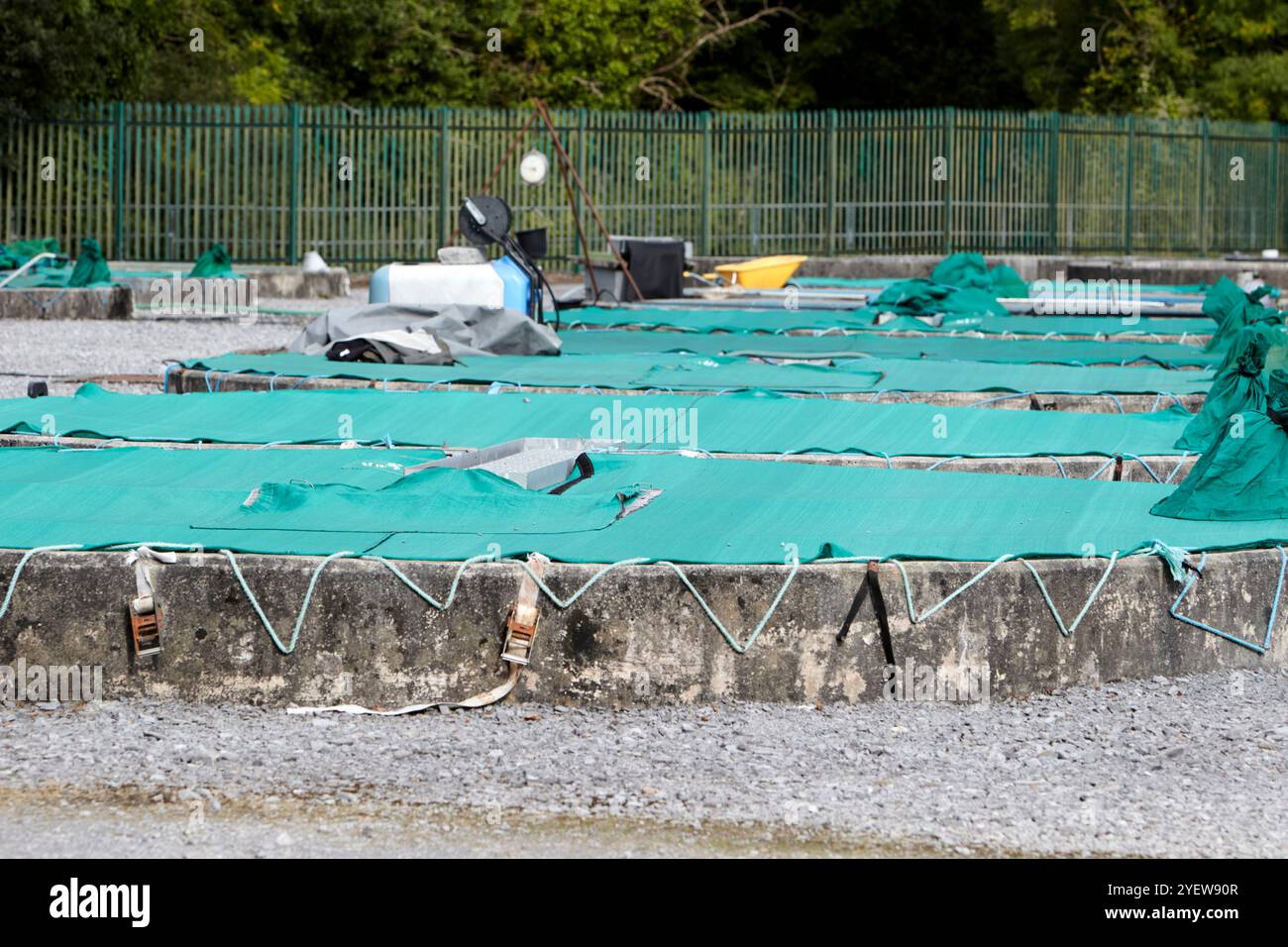 Copre l'incubatoio dei salmoni che contiene le cisterne Cong, contea mayo, repubblica d'irlanda Foto Stock