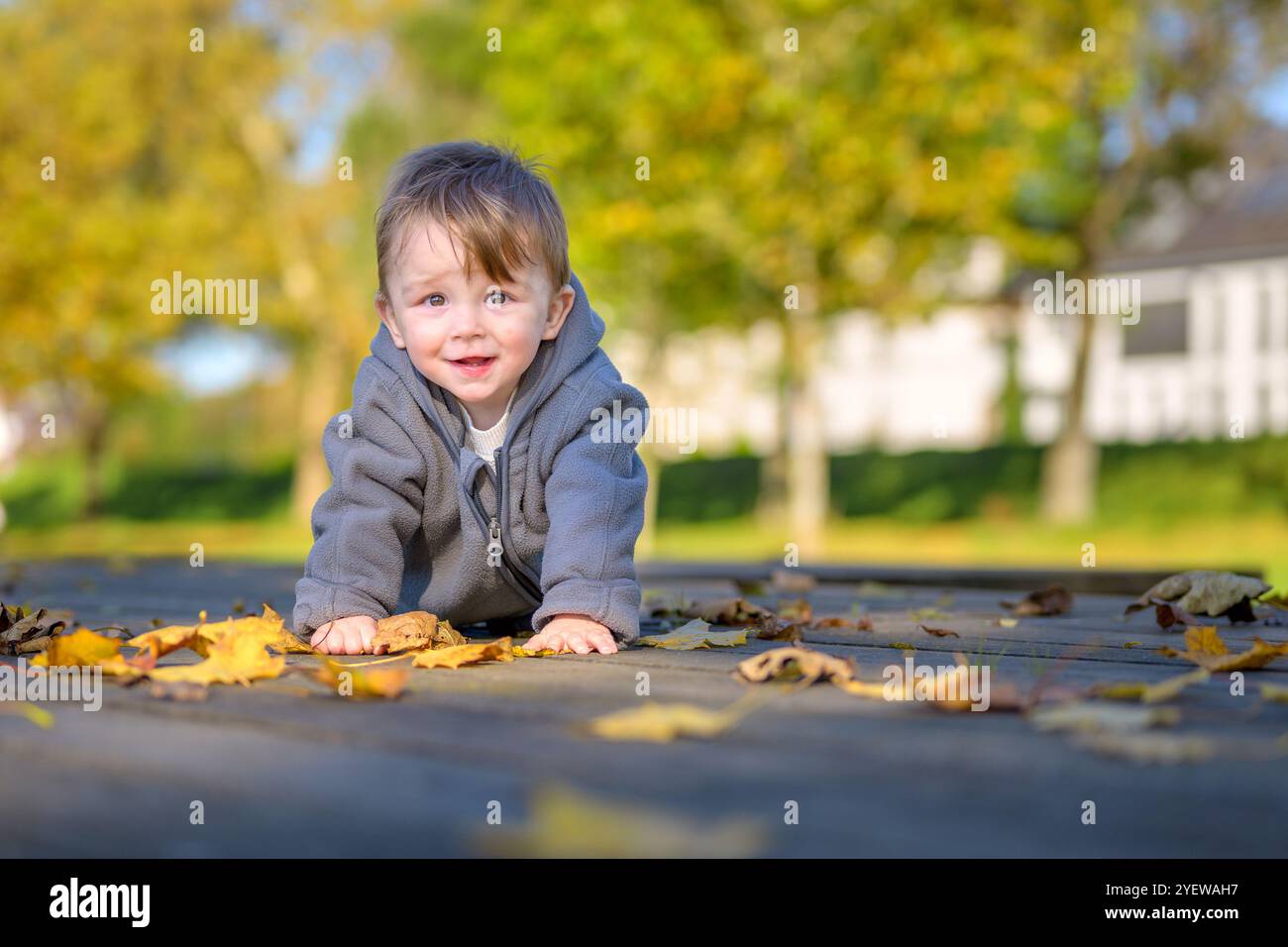 Un bambino allegro con una giacca grigia si snoda su un sentiero di legno adornato da foglie d'autunno sparse. Foto Stock