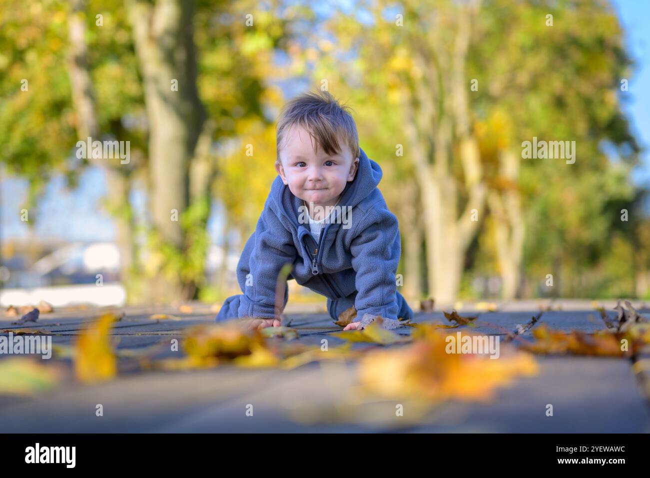 Un bambino allegro in una comoda giacca grigia è posizionato su un sentiero di legno disseminato di vivaci foglie autunnali. Foto Stock