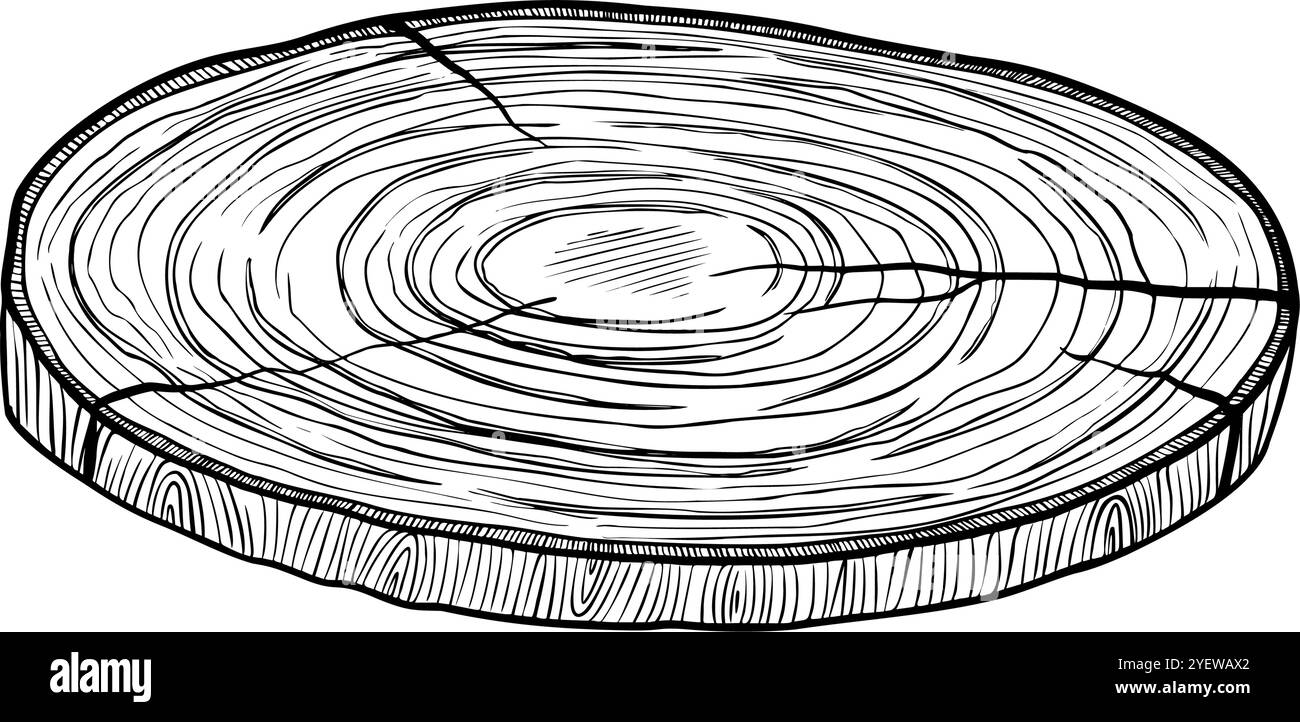 Illustrazione vettoriale con sezione di legno. Disegno lineare della sezione trasversale dell'albero con anelli annuali dipinti con inchiostri neri. Schizzo del profilo del legno per la progettazione ecocompatibile. Incisione monocromatica del taglio. Illustrazione Vettoriale