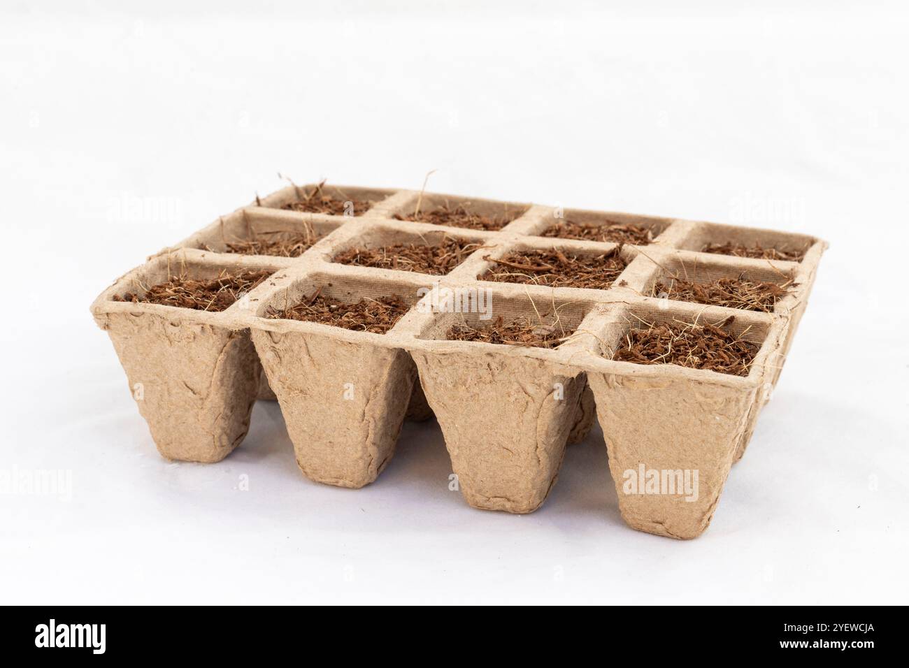 Piatto base di semi biodegradabile Pot di torba di carta con terreno per la piantagione di giardini Foto Stock