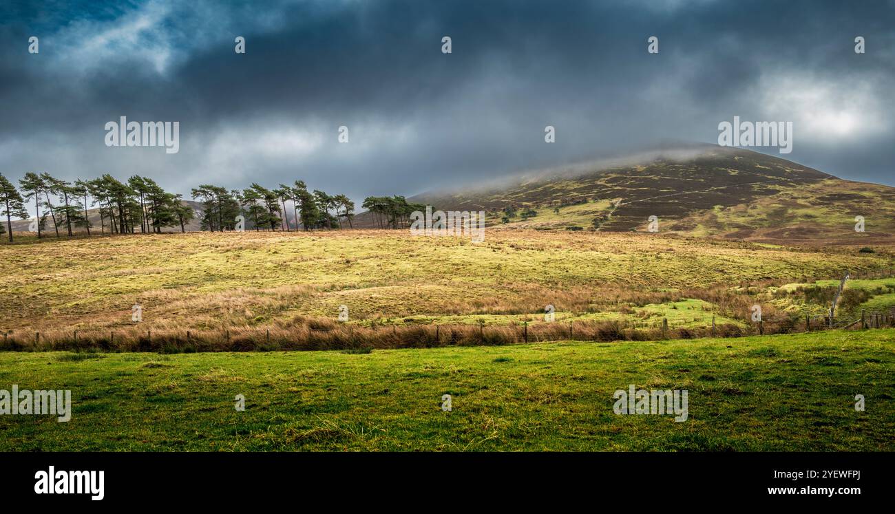 Paesaggio autunnale tempestoso a Tinto Hill, Lanarkshire meridionale, Scozia Foto Stock