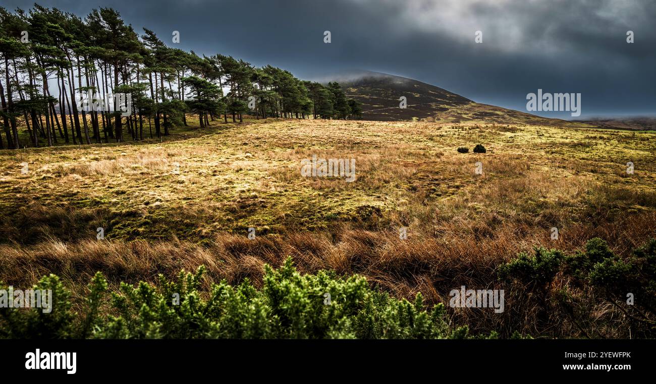 Paesaggio autunnale tempestoso a Tinto Hill, Lanarkshire meridionale, Scozia Foto Stock