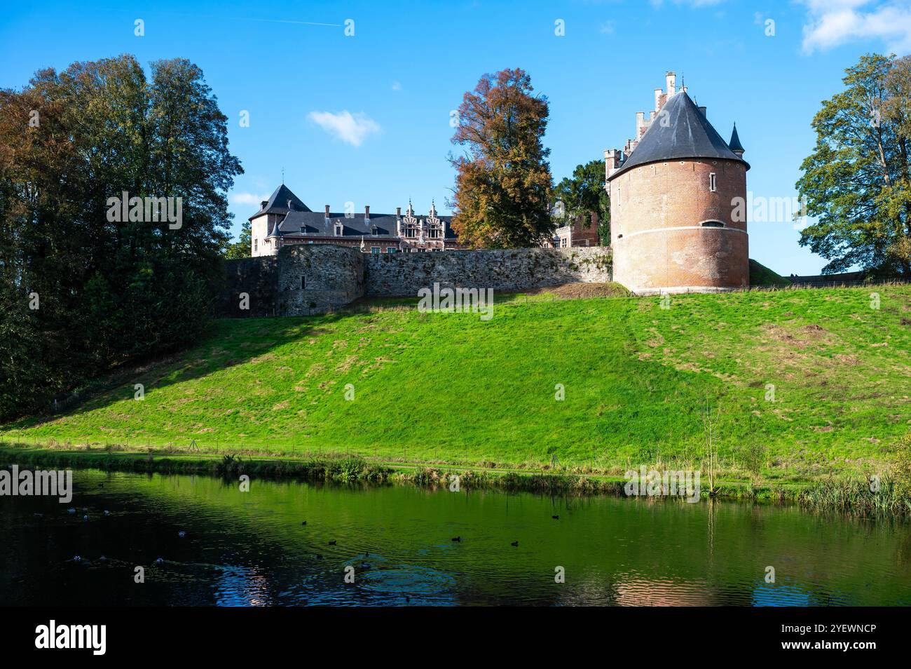 Riflessi naturali in uno stagno d'acqua del dominio del castello Gaasbeek a Lennik, regione del Brabante fiammingo, Belgio, 23 ottobre 2024 Foto Stock