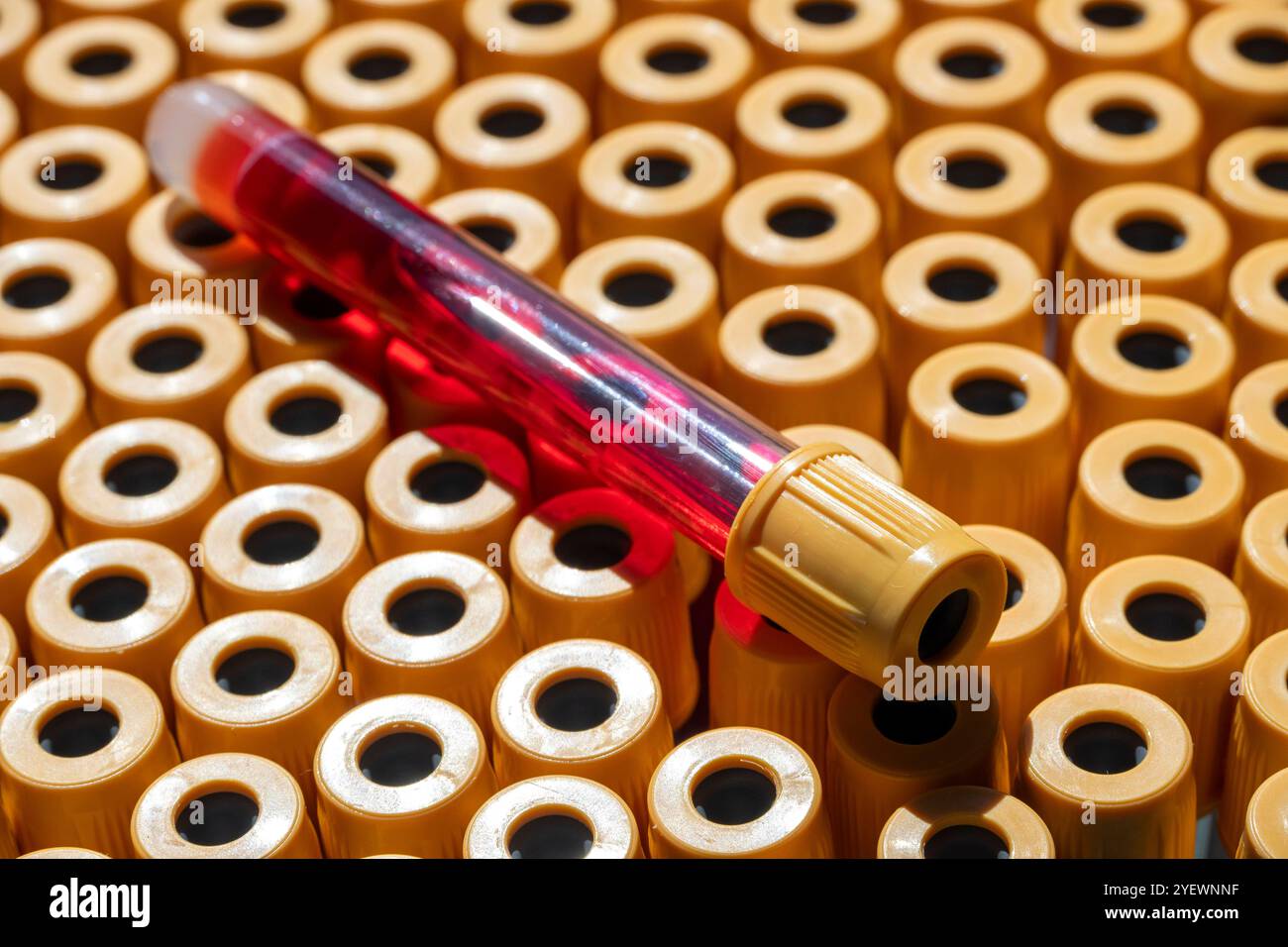 provette sottovuoto per il prelievo di campioni per analisi cliniche, luce naturale Foto Stock