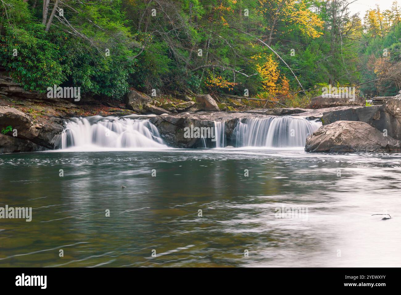 Lower Swallow Falls in un giorno d'autunno piovoso. Swallow Falls State Park. Il fiume Youghiogheny. Oakland. Maryland Foto Stock