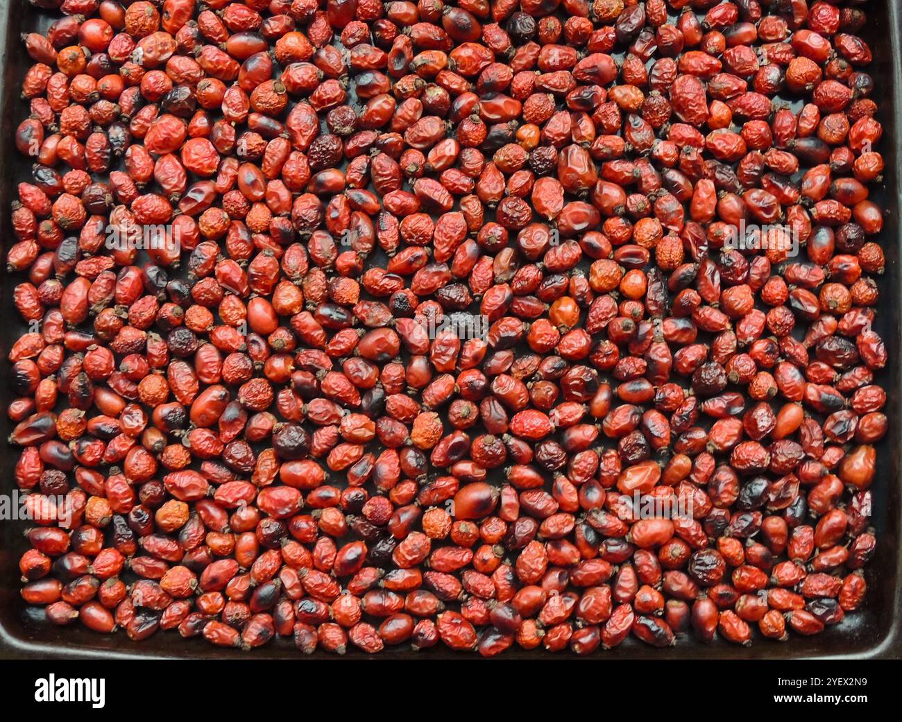 vista dall'alto delle rose secche rosse, adagiate su un vassoio nero di ferro, come preparazione di un ingrediente naturale secco per preparare una sana bevanda vitaminica Foto Stock