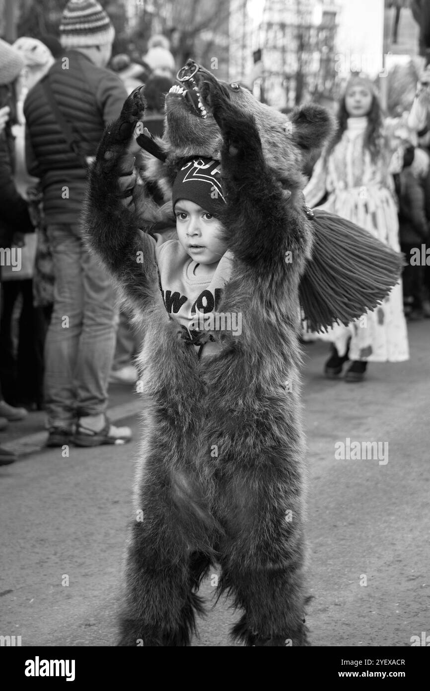 Comănești, Romania, dicembre 2023: L'uomo locale vestito di pelliccia di orso, tradizioni rumene, partecipa alla danza dell'orso al Comănești Traditions Fest Foto Stock