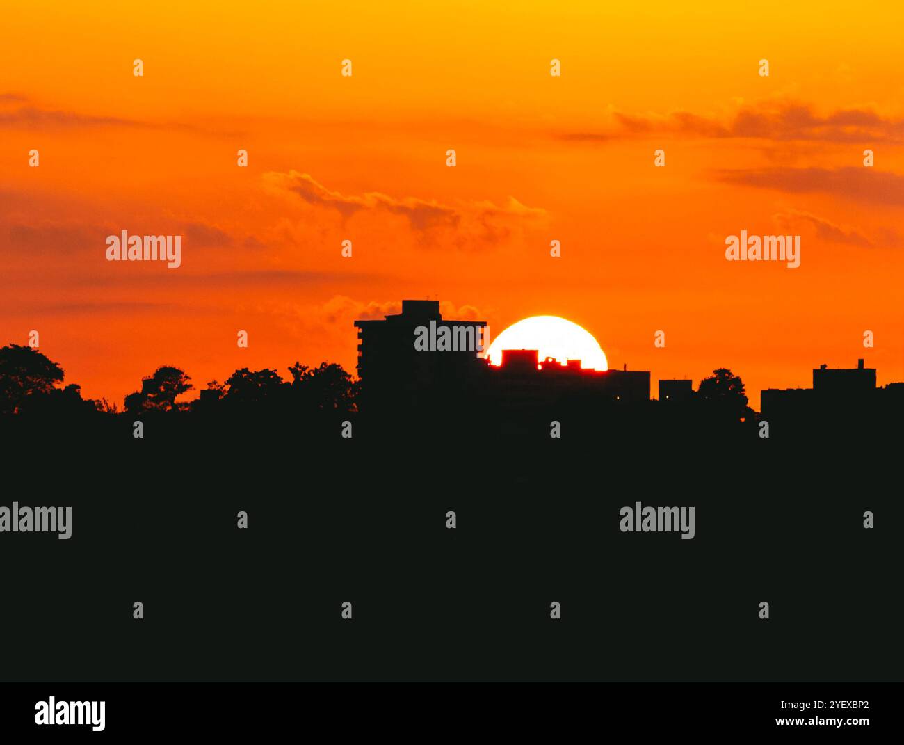 Un vibrante tramonto sullo skyline della città con edifici e alberi sagomati, incastonando Uno splendido bagliore che mette in risalto il paesaggio urbano e crea Un Foto Stock