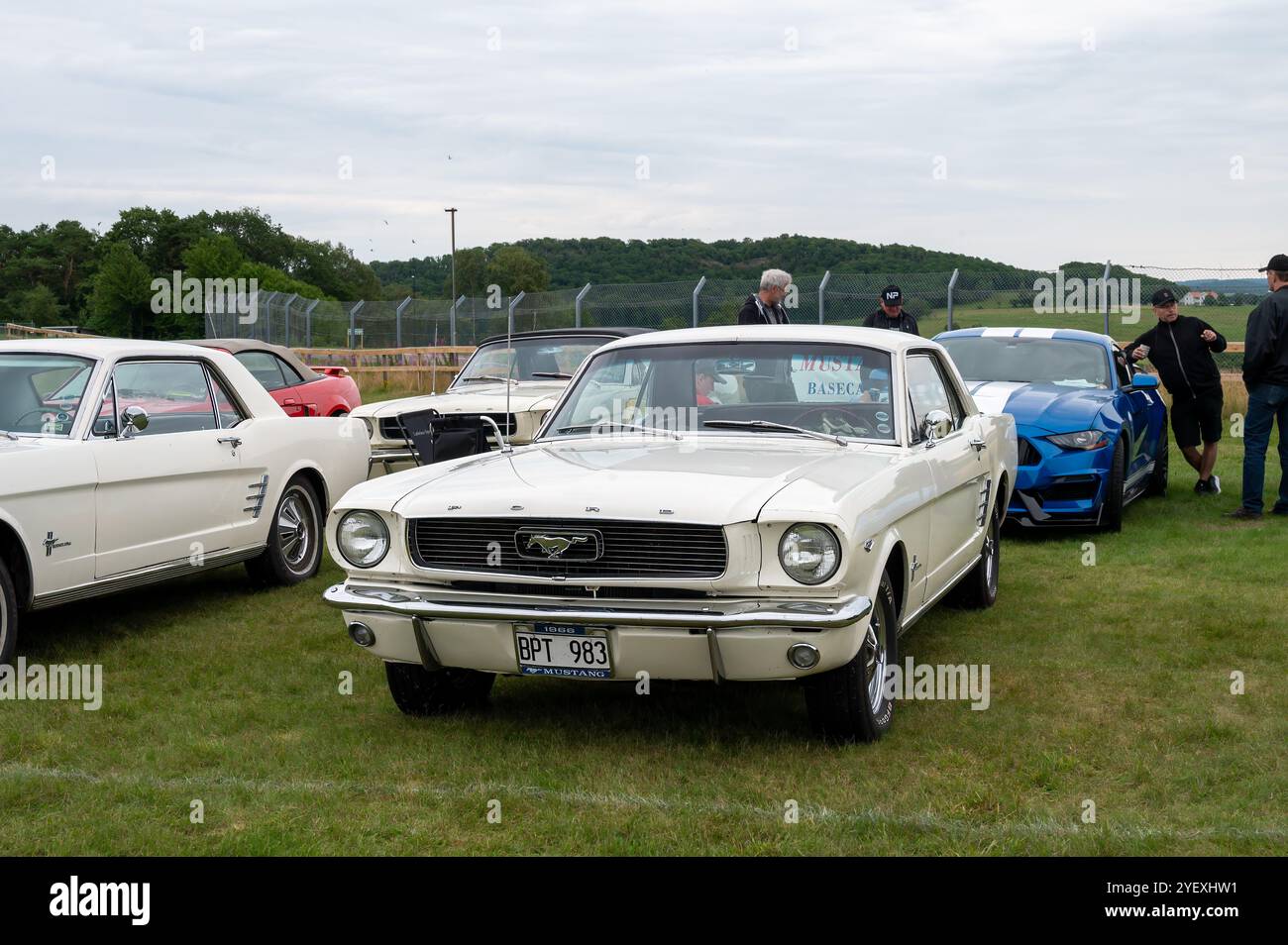 Una classica Ford Mustang del 1966, colorata in blu, è parcheggiata su una lussureggiante erba verde, circondata da varie auto d'epoca durante una mostra di auto in una zona rurale Foto Stock