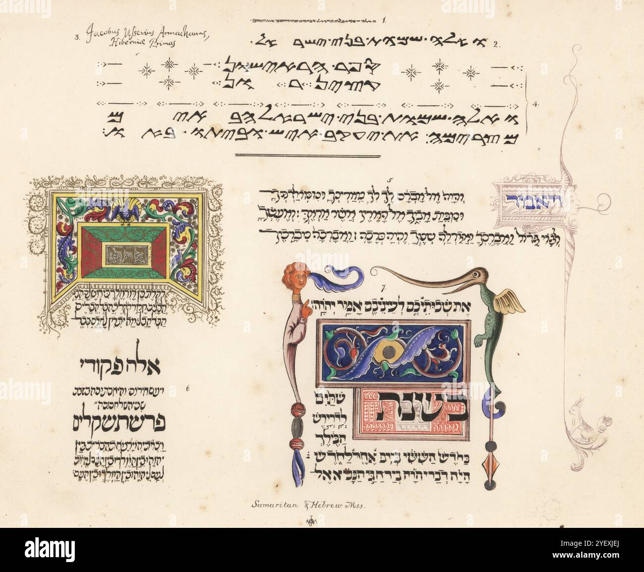 Manoscritti biblici samaritani ed ebraici. 1,2,4, facsimile medievale manoscritti samaritani del Pentateuco, 3 autografo dell'arcivescovo Usher, 5,6 Pentateuco ebraico del duca di Sussex, 7 Hebrew Bible Harl. MS 5710, 5711. Chromolithograph dopo un'illustrazione di John Obadiah Westwood dalla sua Palaeographia Sacra Pictoria, essendo una serie di illustrazioni delle versioni antiche della Bibbia, copiate da Illuminated Manuscripts, William Smith, Londra, 1843. Foto Stock
