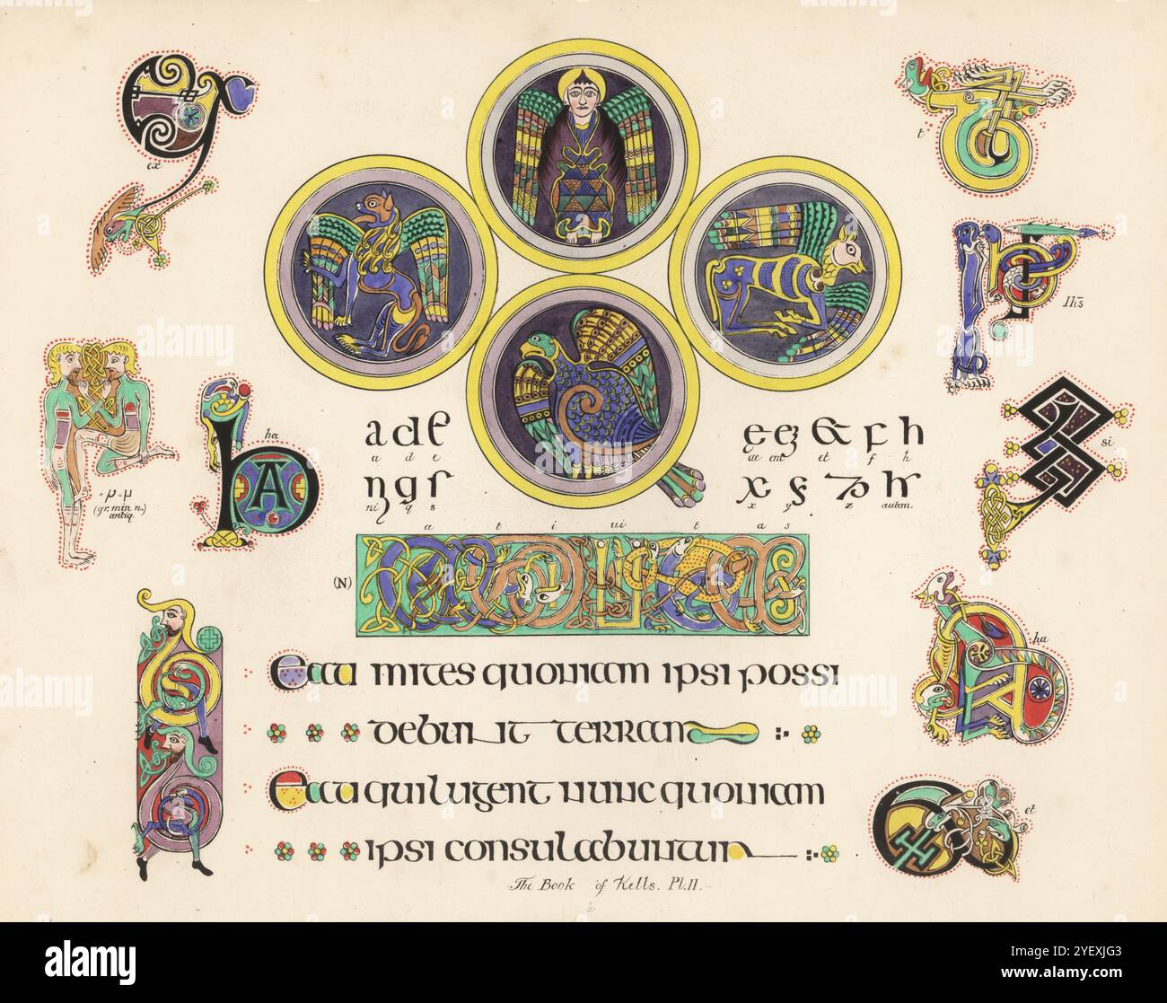 The Book of Kells o Book of Columba, Trinity College Library, Dublino. Il Vangelo celtico in latino. Simboli dei quattro evangelisti, lettere lacertine illuminate che scrivono Nativitus, alfabeto delle lettere iniziali e ordinarie. Chromolithograph dopo un'illustrazione di John Obadiah Westwood dalla sua Palaeographia Sacra Pictoria, essendo una serie di illustrazioni delle versioni antiche della Bibbia, copiate da Illuminated Manuscripts, William Smith, Londra, 1843. Foto Stock