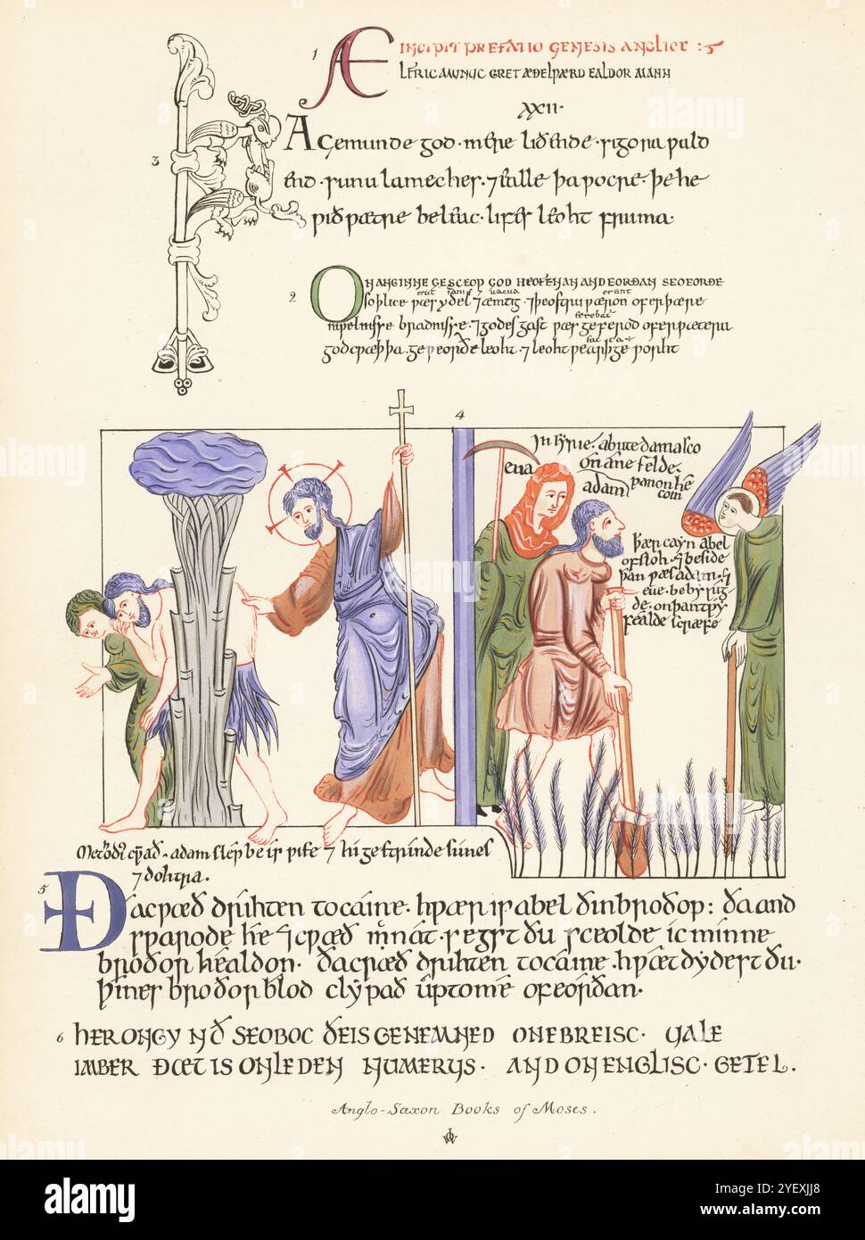 La Più Antica Bibbia Ebraica Venduta All'asta Per 38 Milioni Di Dollari - Foto 4