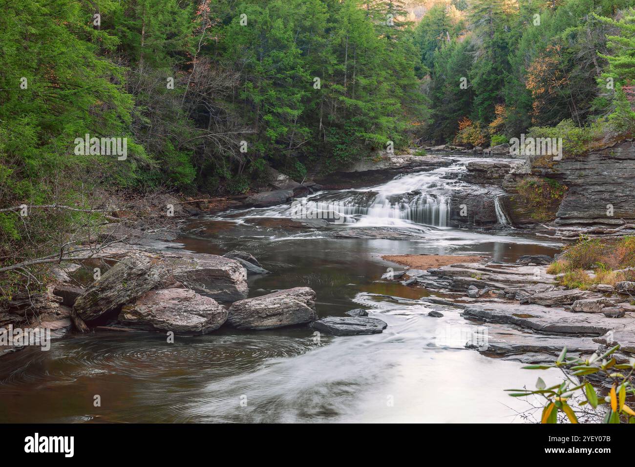 Upper Swallow Falls in un giorno d'autunno. Swallow Falls State Park. Il fiume Youghiogheny. Oakland. Maryland Foto Stock