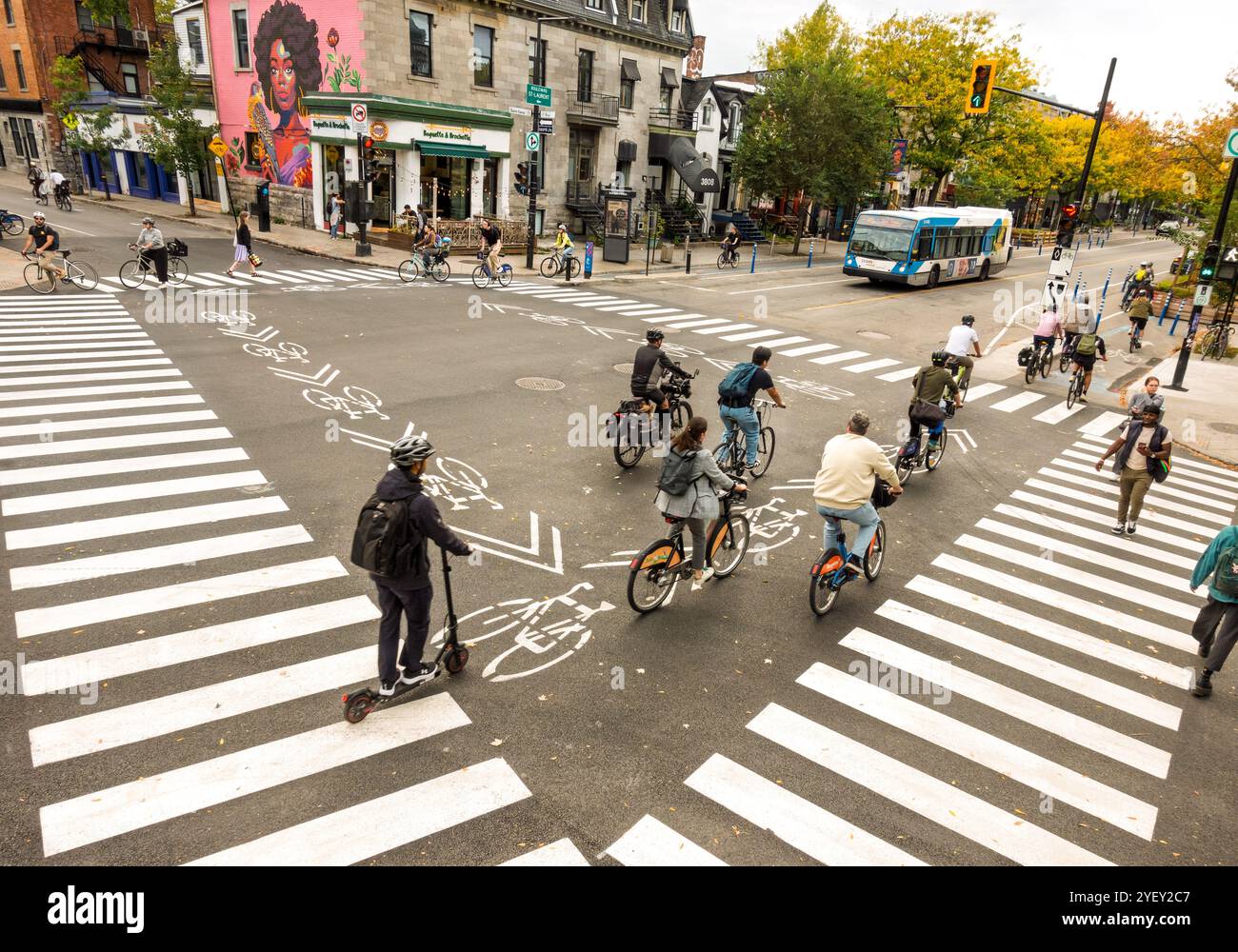 Montreal biciclette biciclette ciclisti attraversano l'incrocio tra Rue Saint-Denis e Rue Roy St nel quartiere le Plateau Mont Royal. Foto Stock