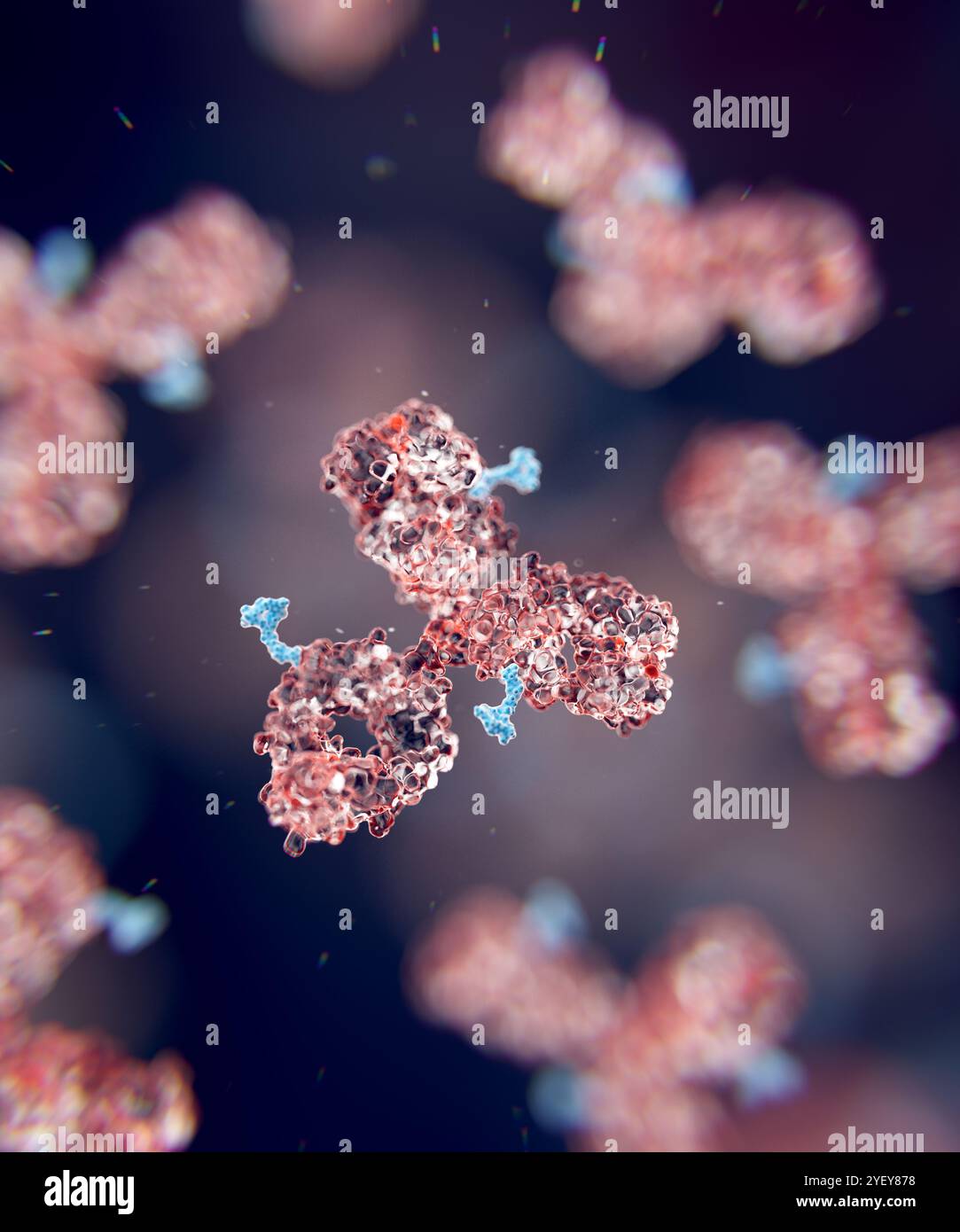 Illustrazione dei coniugati di farmaci anticorpali. I coniugati di farmaci anticorpali sono costituiti da un anticorpo monoclonale (rosa) e da un carico utile del farmaco (blu), in questo caso un farmaco citotossico che prende di mira e distrugge cellule specifiche nel corpo. Foto Stock
