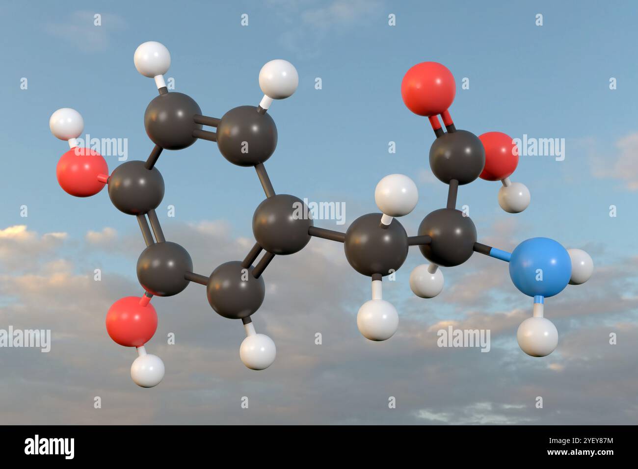 Illustrazione al computer di un modello a sfera e bastone di una molecola di levodopa. Gli atomi sono rappresentati come sfere e sono codificati a colori: Idrogeno (bianco), carbonio (nero), ossigeno (rosso) e azoto (blu). Foto Stock