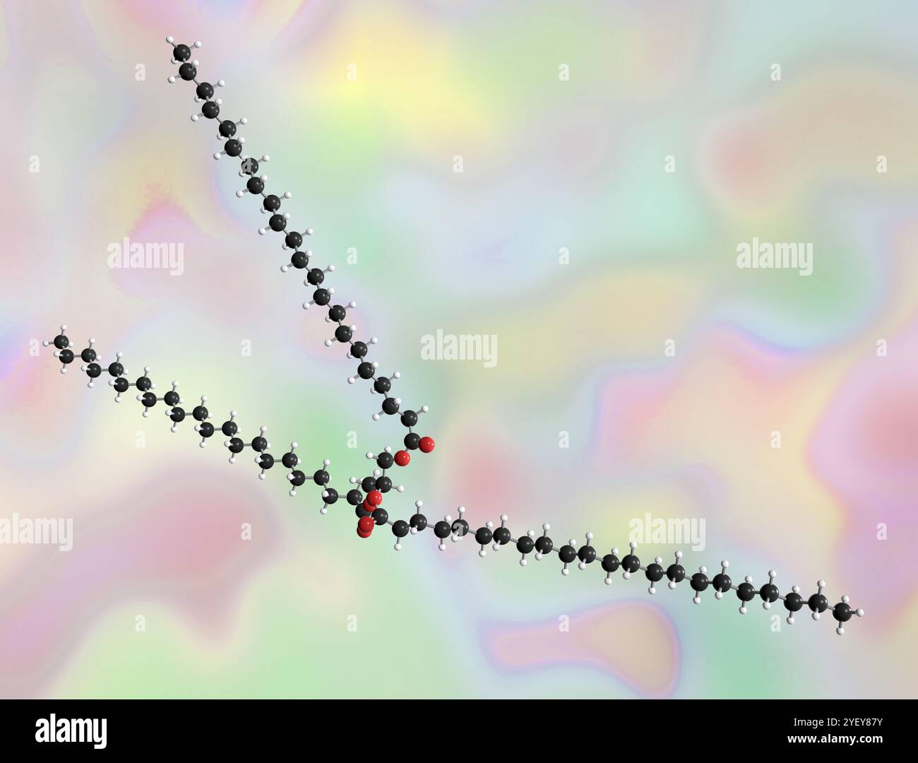 Illustrazione al computer di un modello a sfera e bastone di una molecola di tribehenina, un acido grasso a catena lunga che si trova naturalmente nei grassi animali e negli oli vegetali. Ha vari usi nei prodotti cosmetici. Gli atomi sono rappresentati come sfere e sono codificati a colori: Idrogeno (bianco), carbonio (grigio scuro) e ossigeno (rosso). Foto Stock
