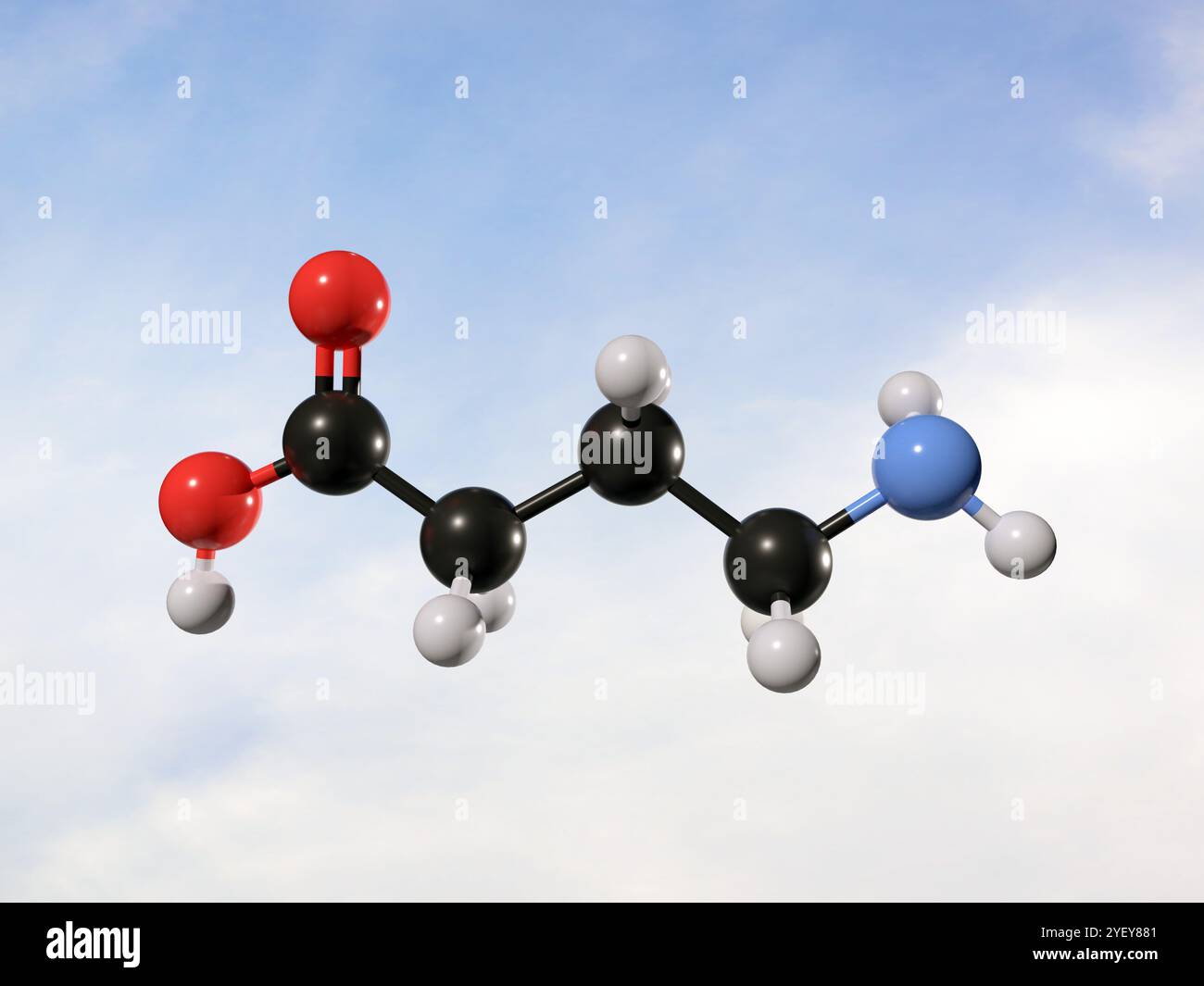 Illustrazione al computer di un modello a sfera e bastone di una molecola di acido gamma-aminobutirrico (GABA). Gli atomi sono rappresentati come sfere e sono codificati a colori: Idrogeno (bianco), carbonio (nero), ossigeno (rosso) e azoto (blu). Foto Stock