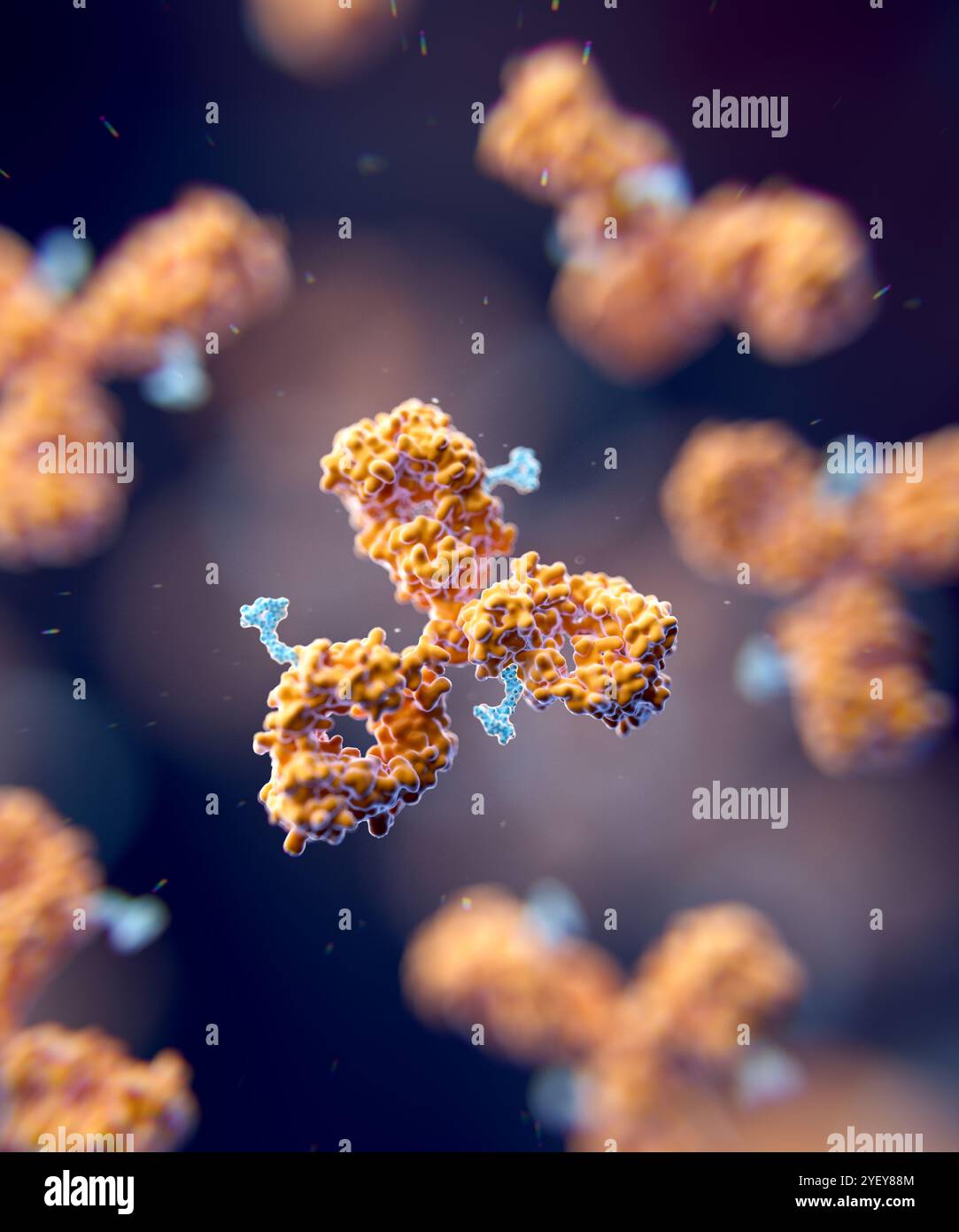 Illustrazione dei coniugati di farmaci anticorpali. I coniugati di farmaci anticorpali sono costituiti da un anticorpo monoclonale (arancione) e da un carico utile del farmaco (blu), in questo caso un farmaco citotossico che colpisce e distrugge cellule specifiche nel corpo. Foto Stock