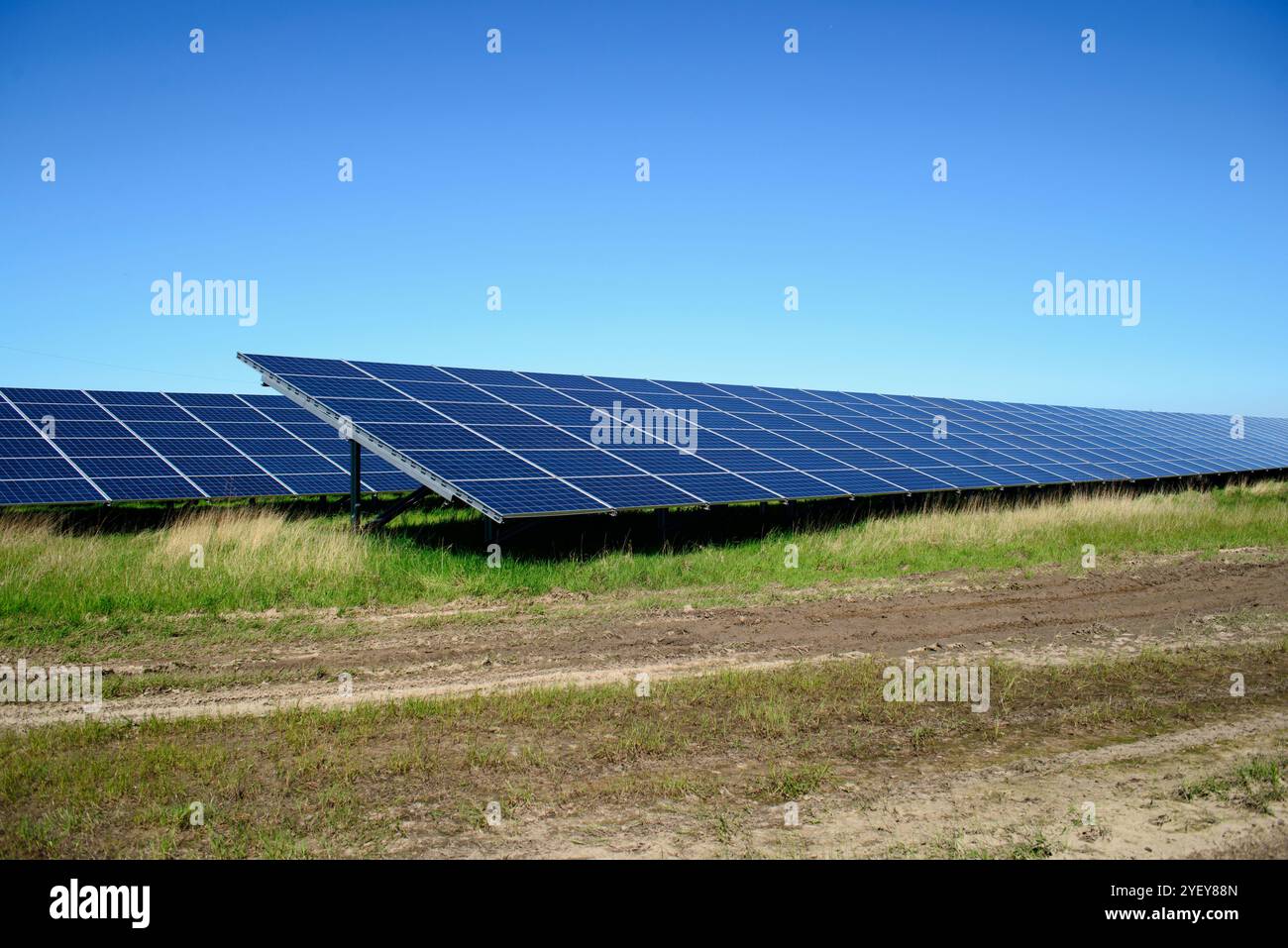 Righe di pannelli solari a solar farm in Galles del Nord, Regno Unito. Foto Stock