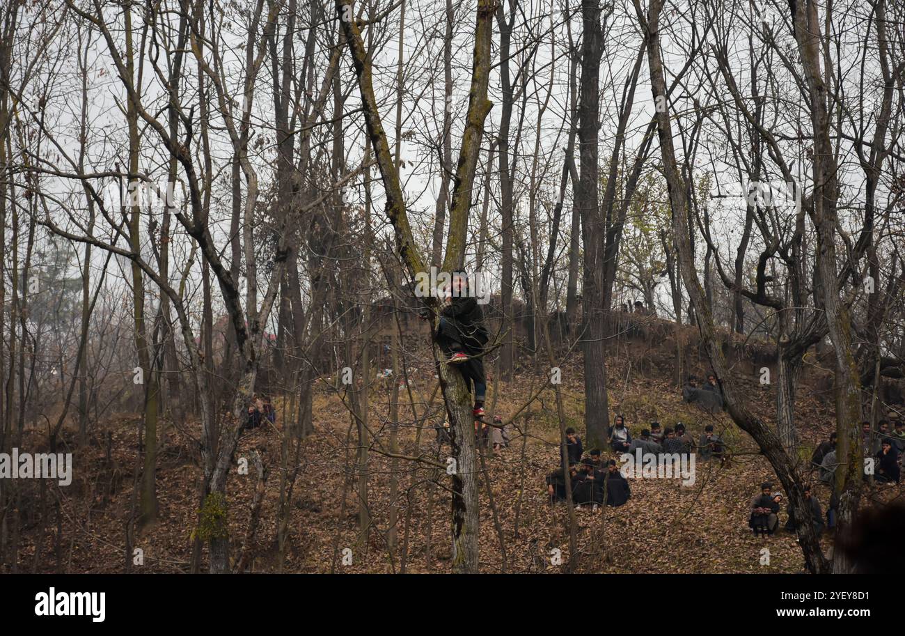 Un gran numero di persone assiste al funerale del presunto militante Shakir Hassan Dar nel villaggio di Rathsuna nel distretto di Tral nel Kashmir amministrato dall'India il 27 novembre 2018. Dar, che si dice appartenga al gruppo militante di Ansar Ghazwat-ul-Hind, è stato ucciso in uno scontro a fuoco con le forze indiane nell'area di Reshipora a Tral. Lo scontro a fuoco a Tral seguì dopo che le forze indiane avevano cordonato un'area per confrontarsi con i militanti che si credevano fossero in essa. Due militanti del gruppo Lashker-e-Taiba sono stati uccisi nell'incontro Foto Stock